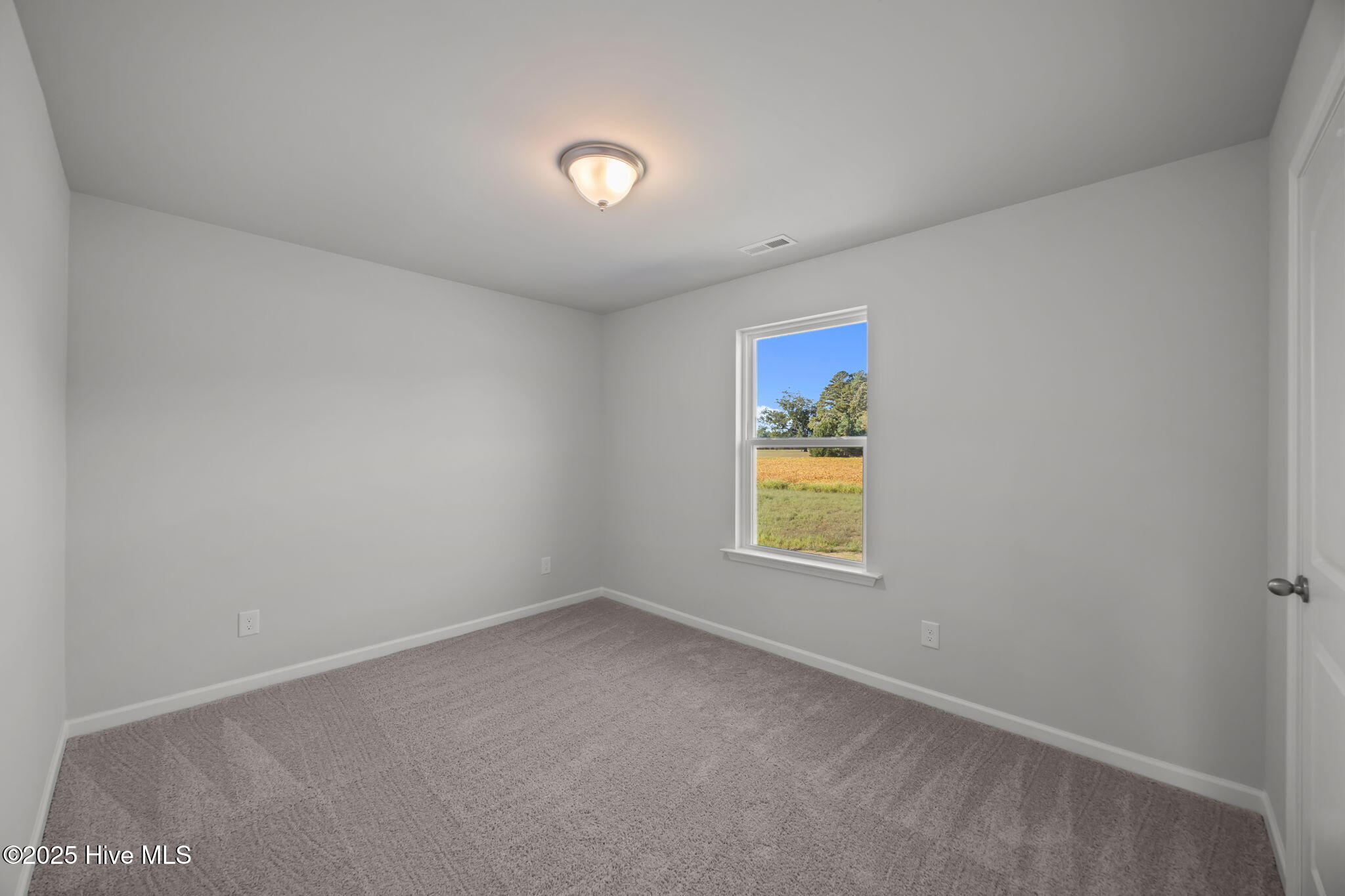 2900 Essex Street Property Photo 26