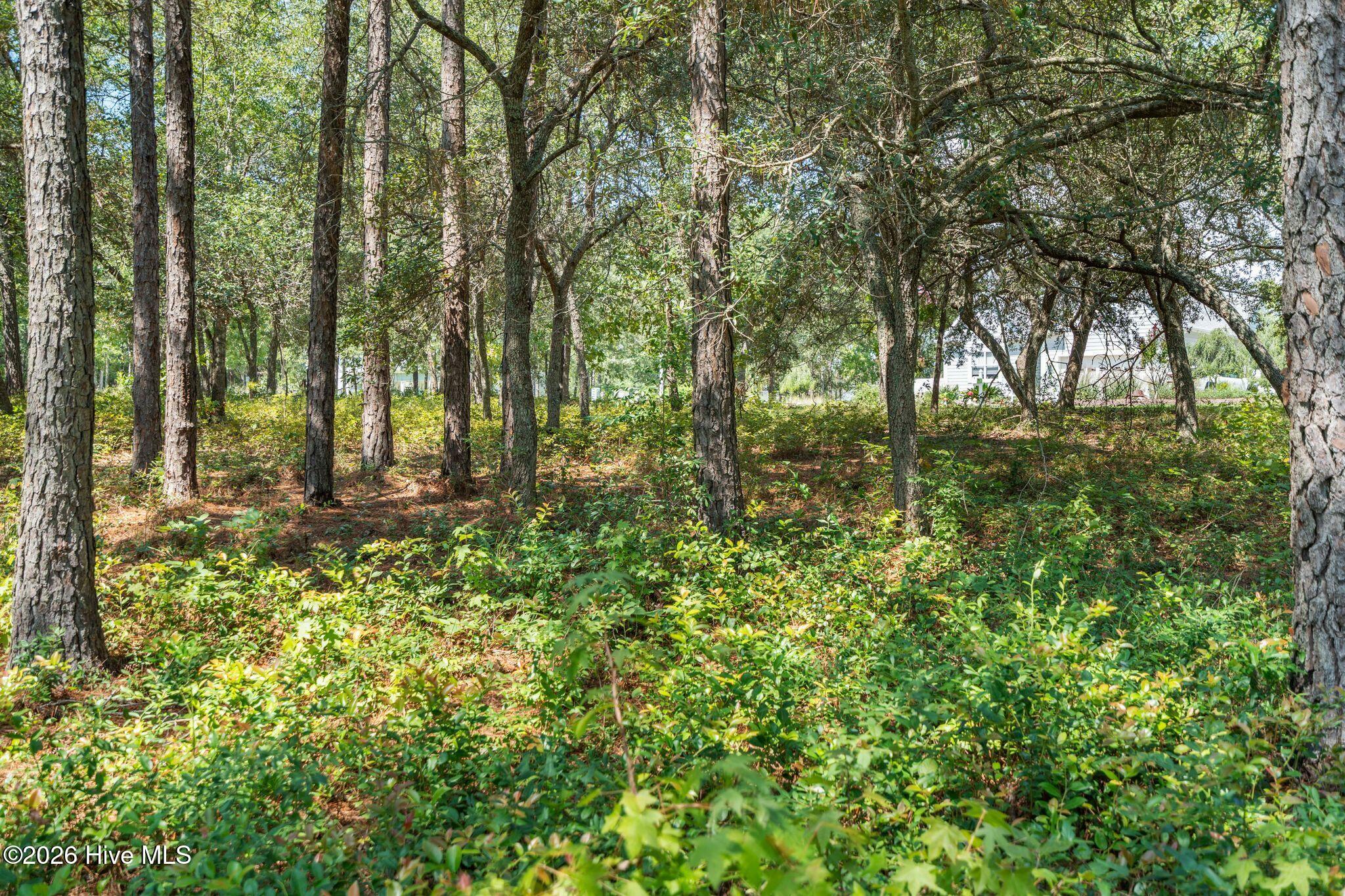 2638 54 Jessica Lane Sw Property Photo 14