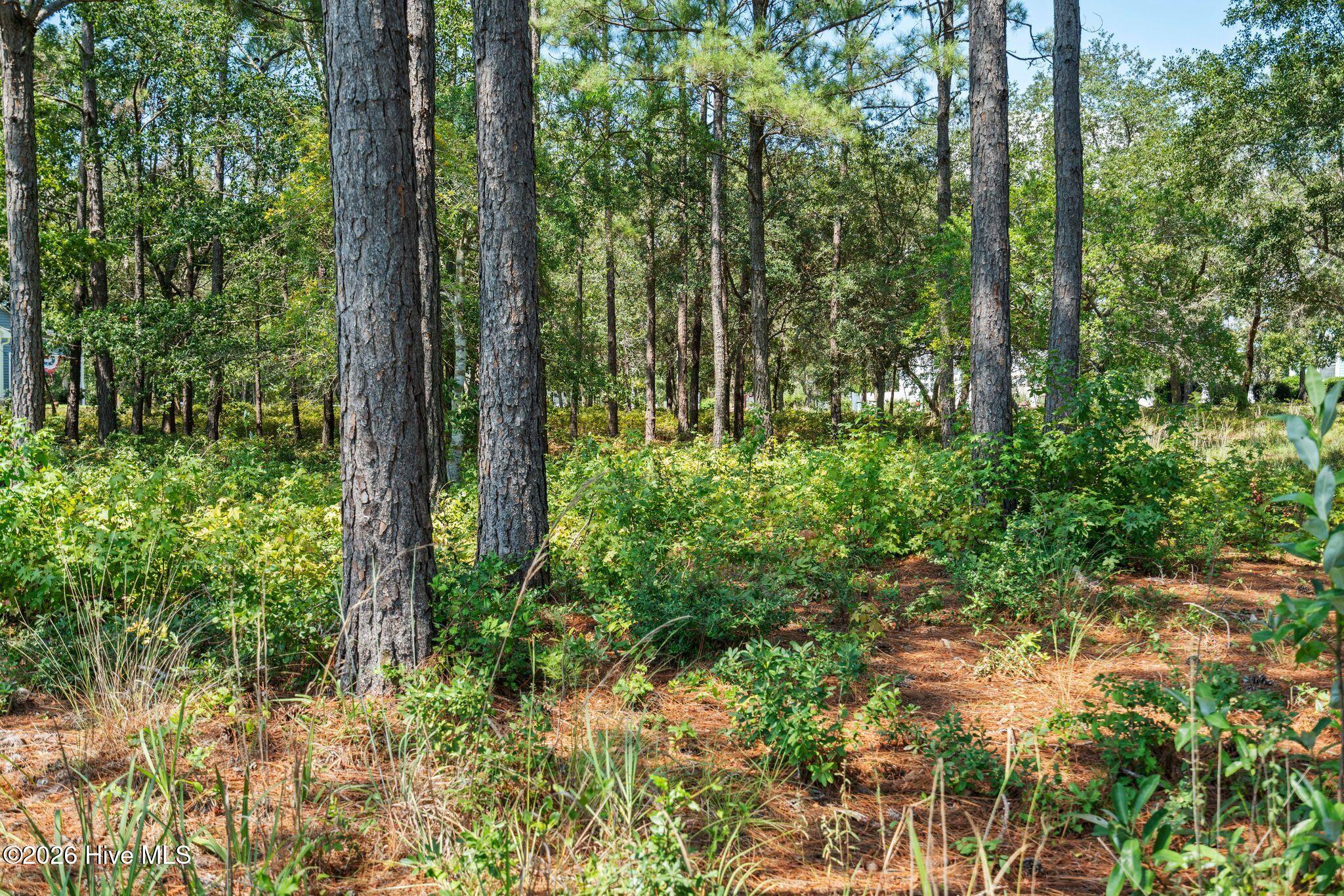 2638 54 Jessica Lane Sw Property Photo 24