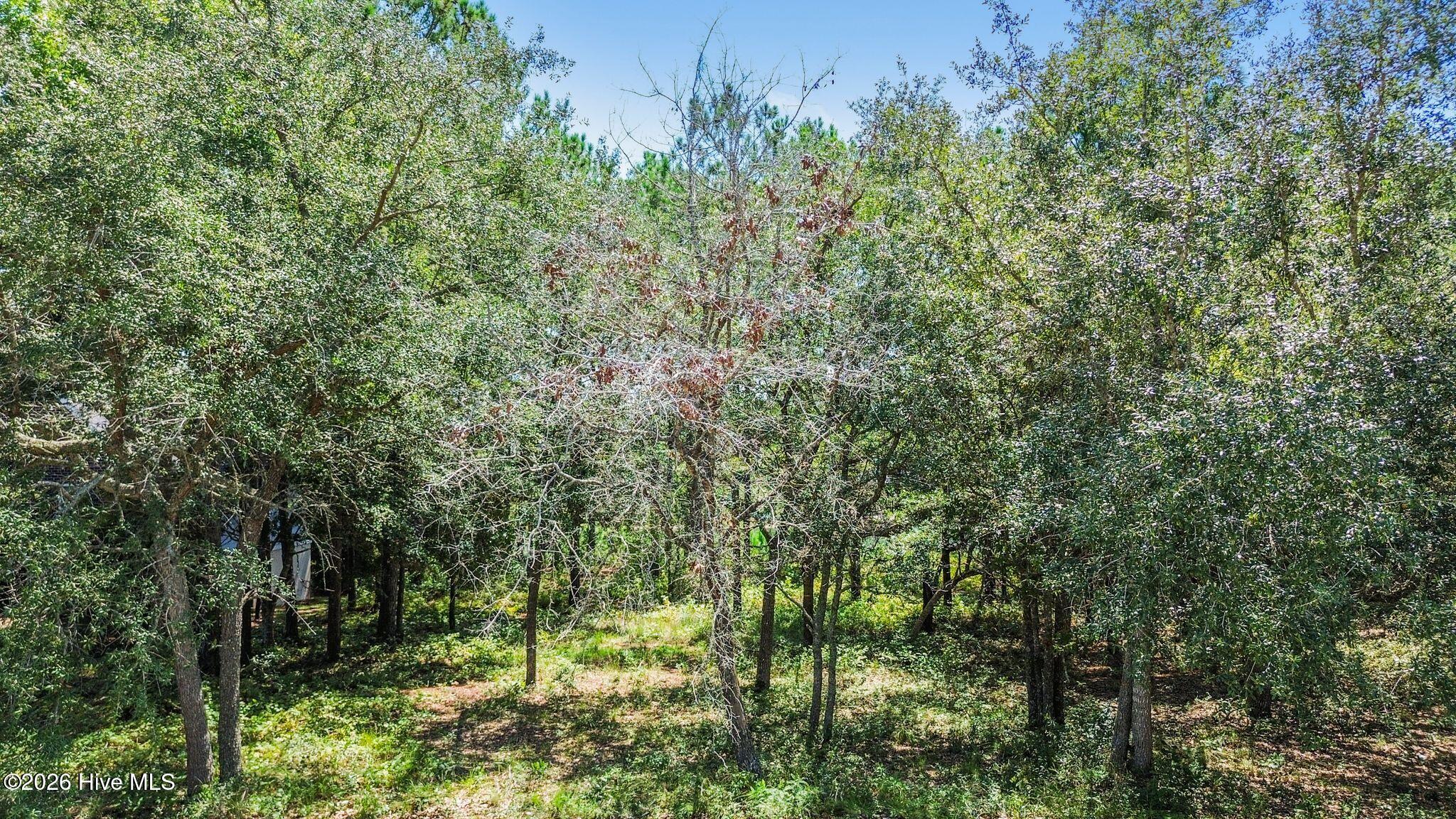 2638 54 Jessica Lane Sw Property Photo 28