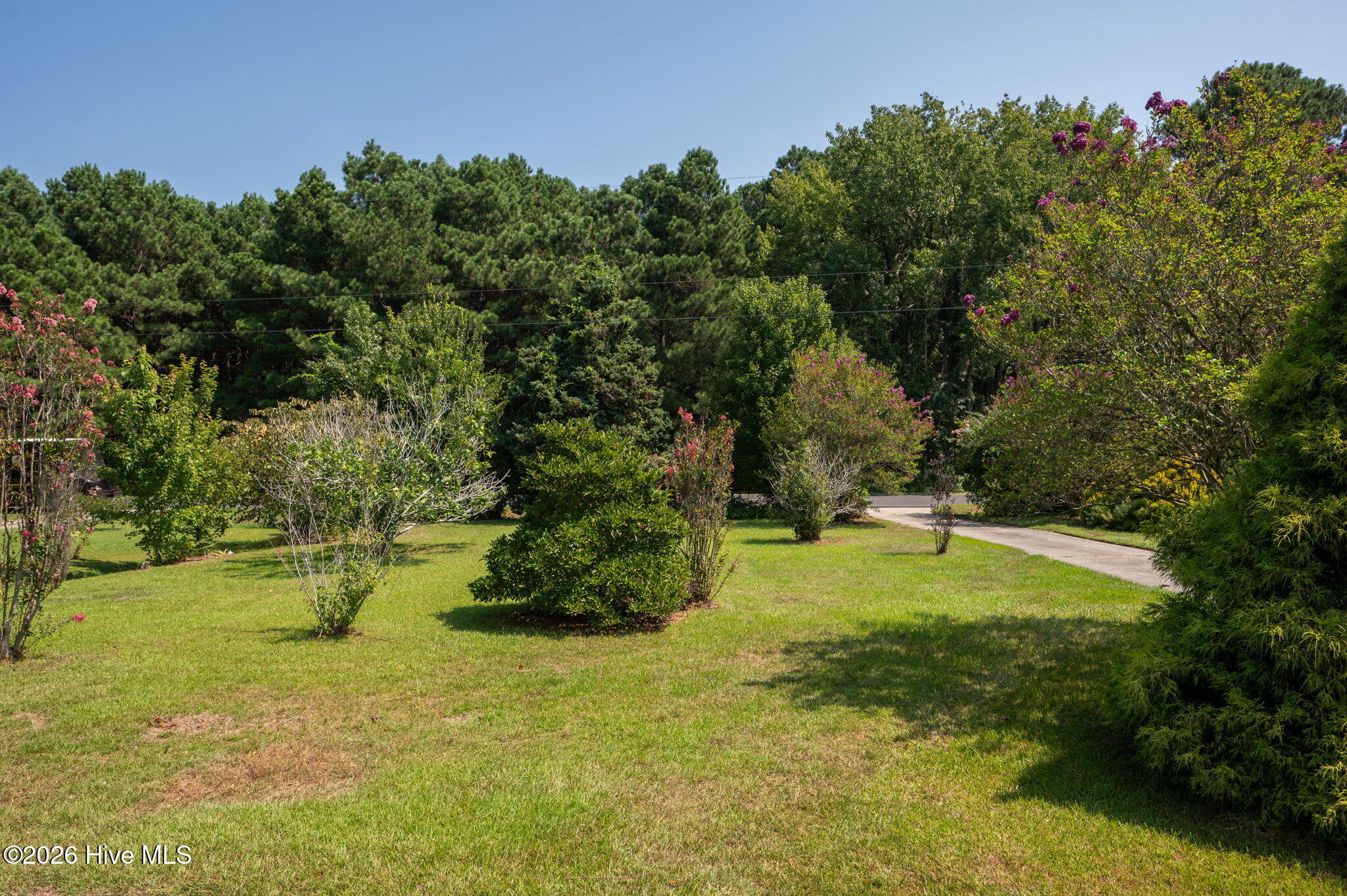 752 Aydlett Road Property Photo 7