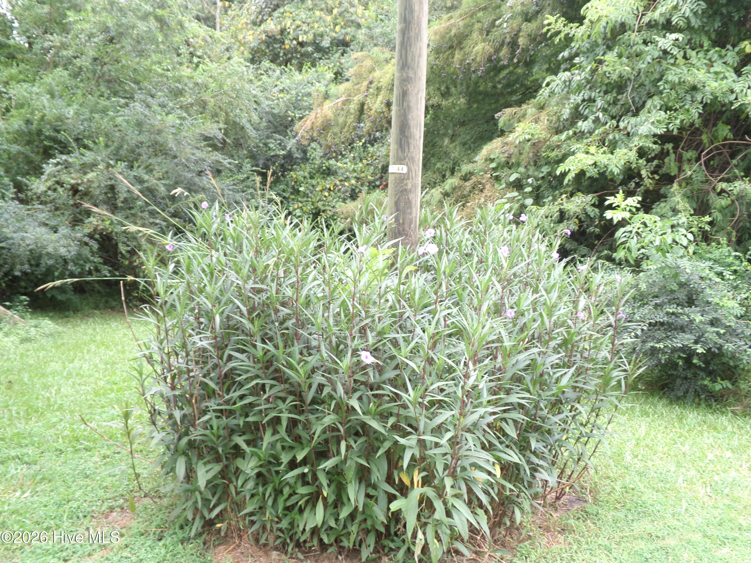 2862 E White Pond Road Property Photo 6
