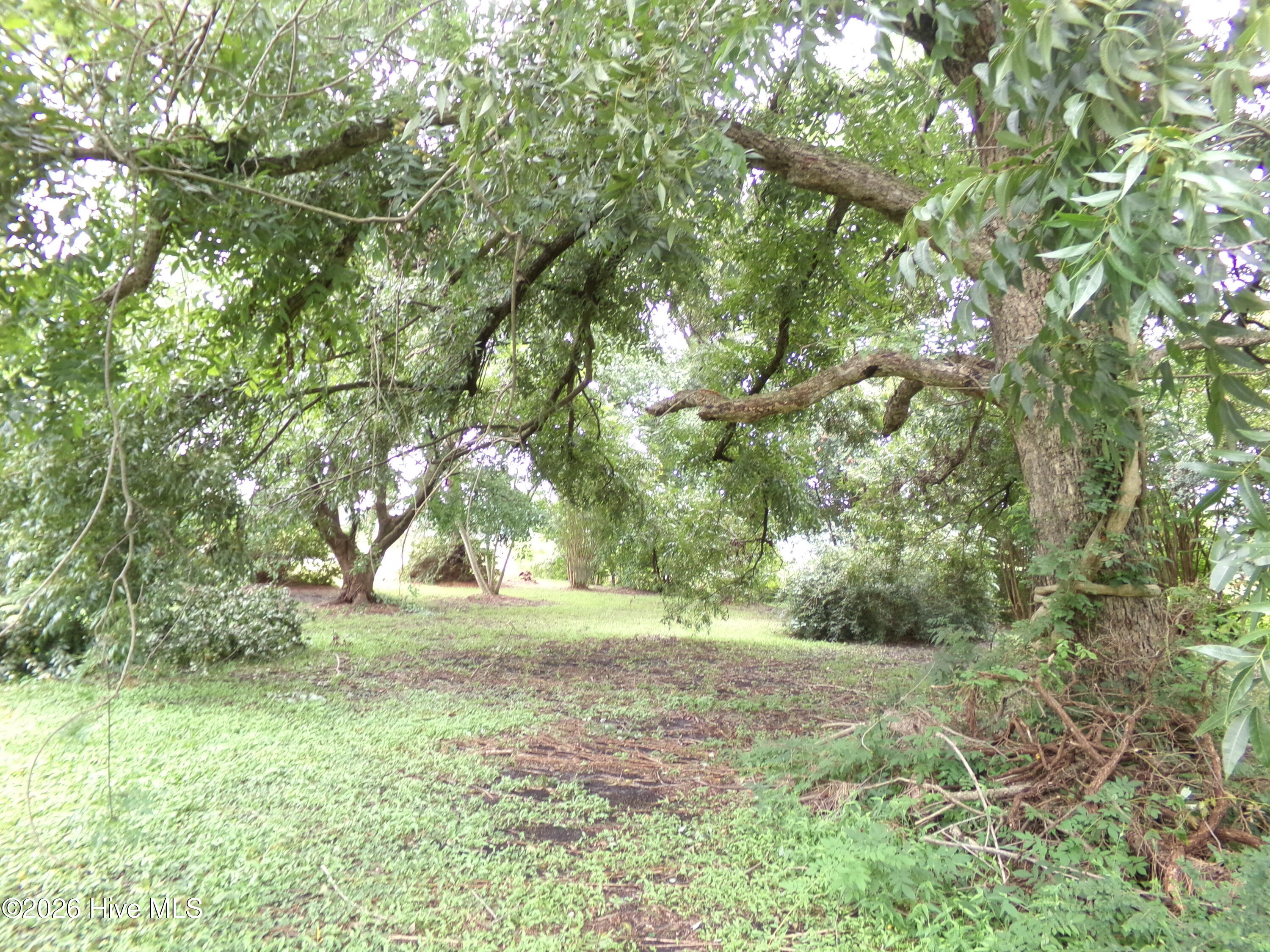 2862 E White Pond Road Property Photo 7