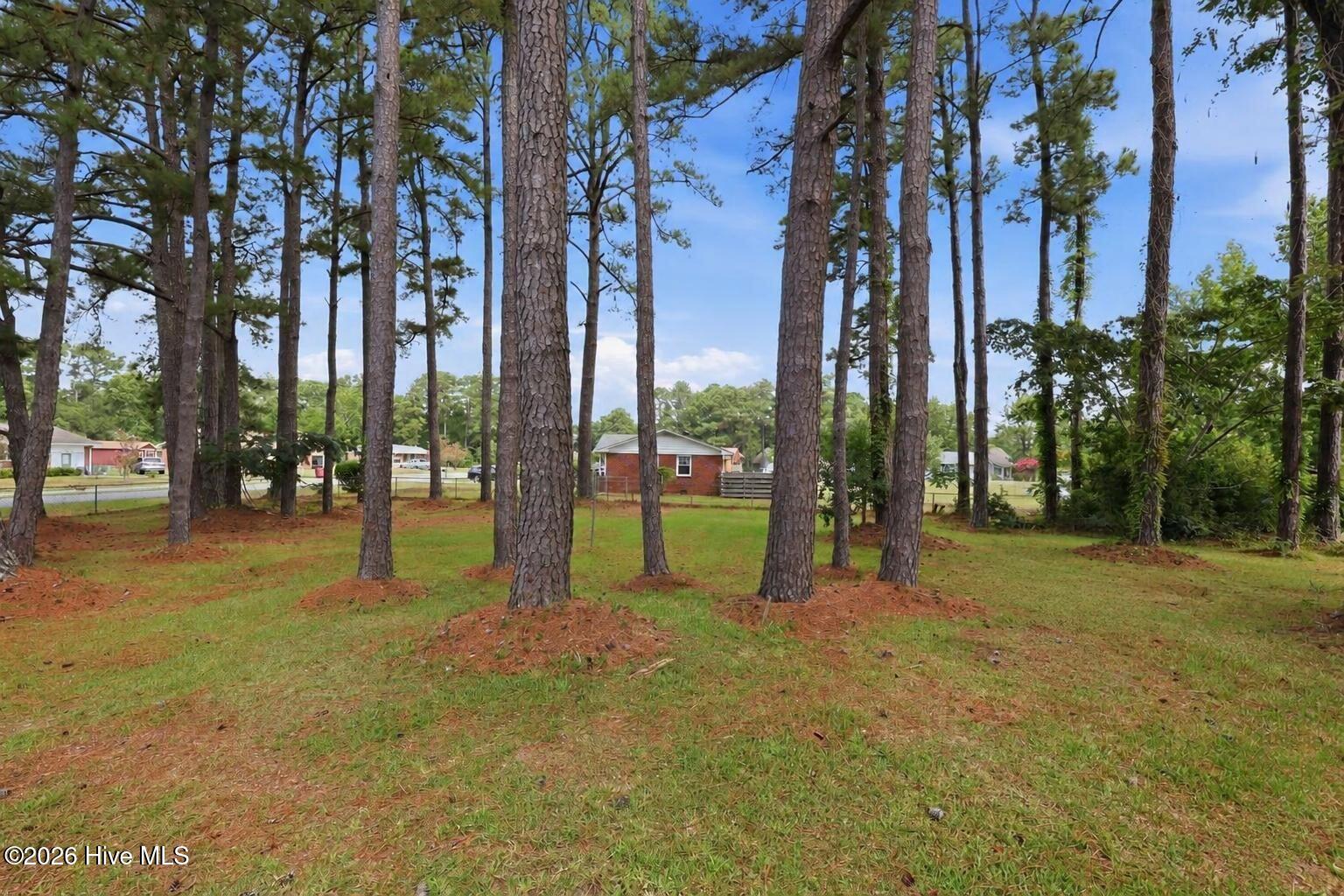 1000 Hedrick Boulevard Property Photo 35