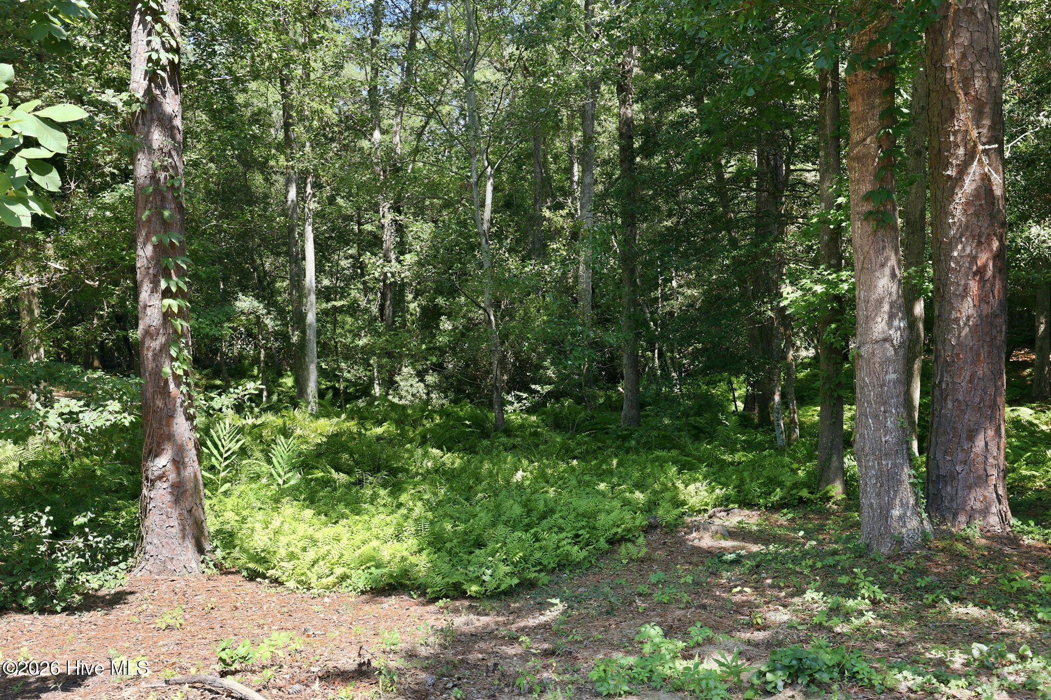 117 Woodridge Drive Property Photo 39