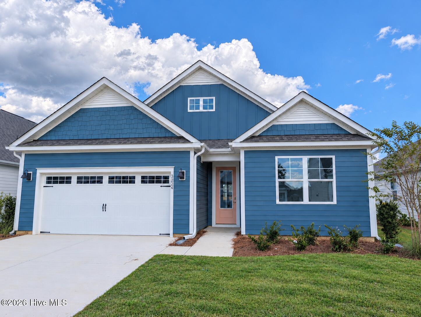 3224 Butterfly Ginger Street Lot 155 Property Photo 1