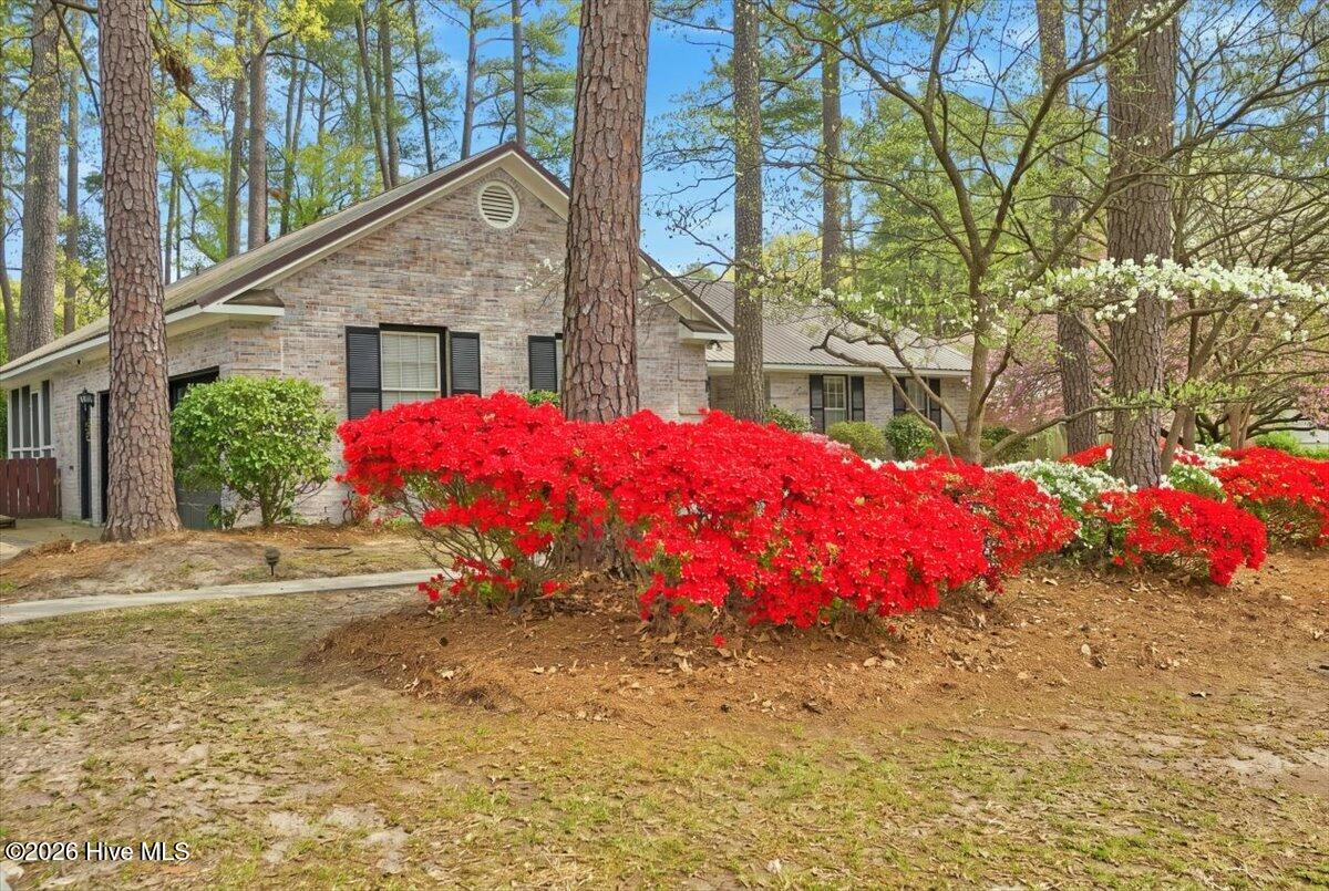 1933 Merrimac Drive Property Photo 71