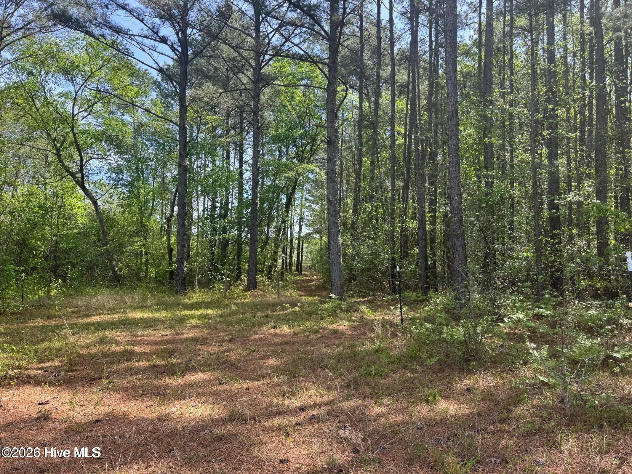 490 Springhill Church Road Property Photo 45