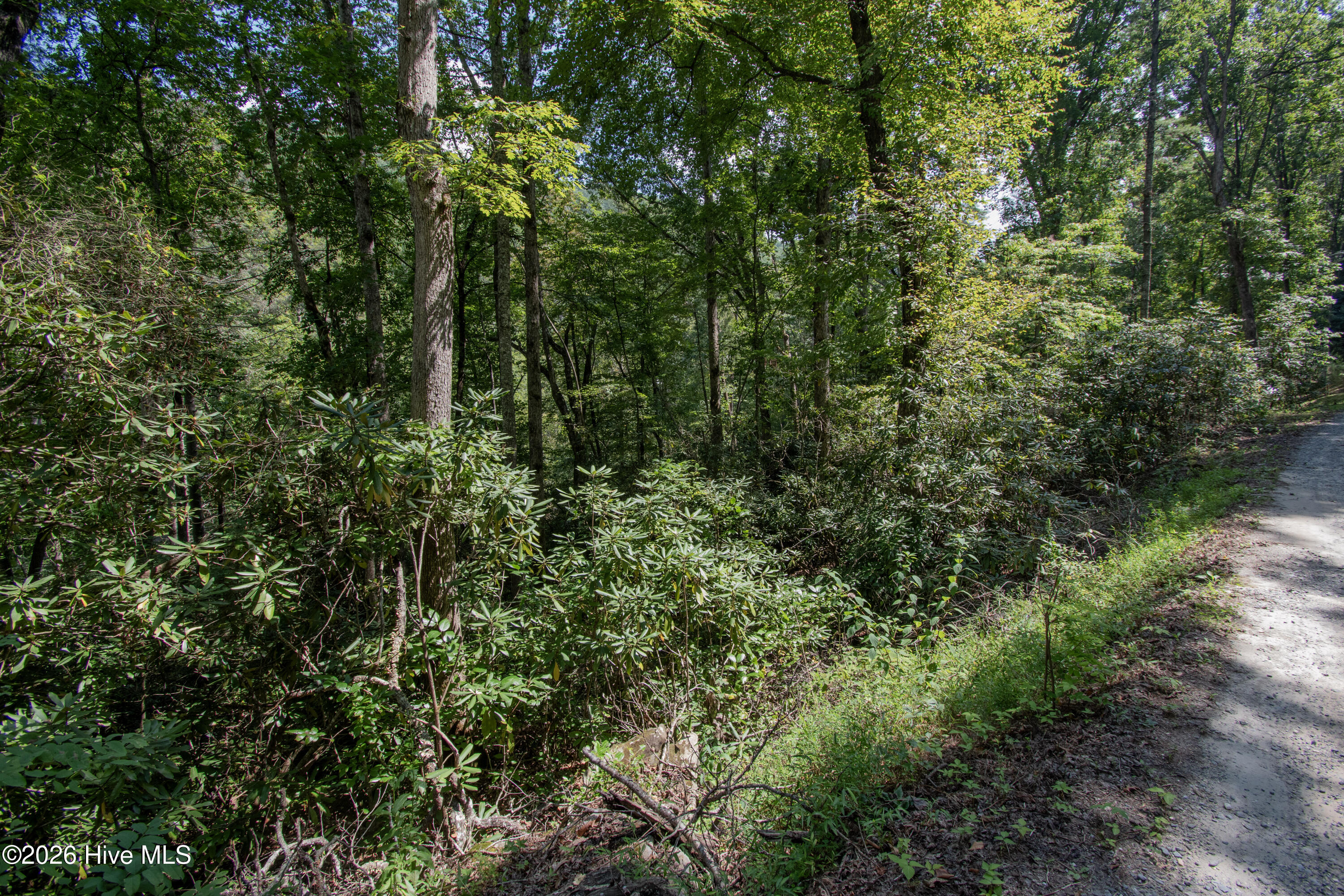 8 8 Snowbird Woods Road