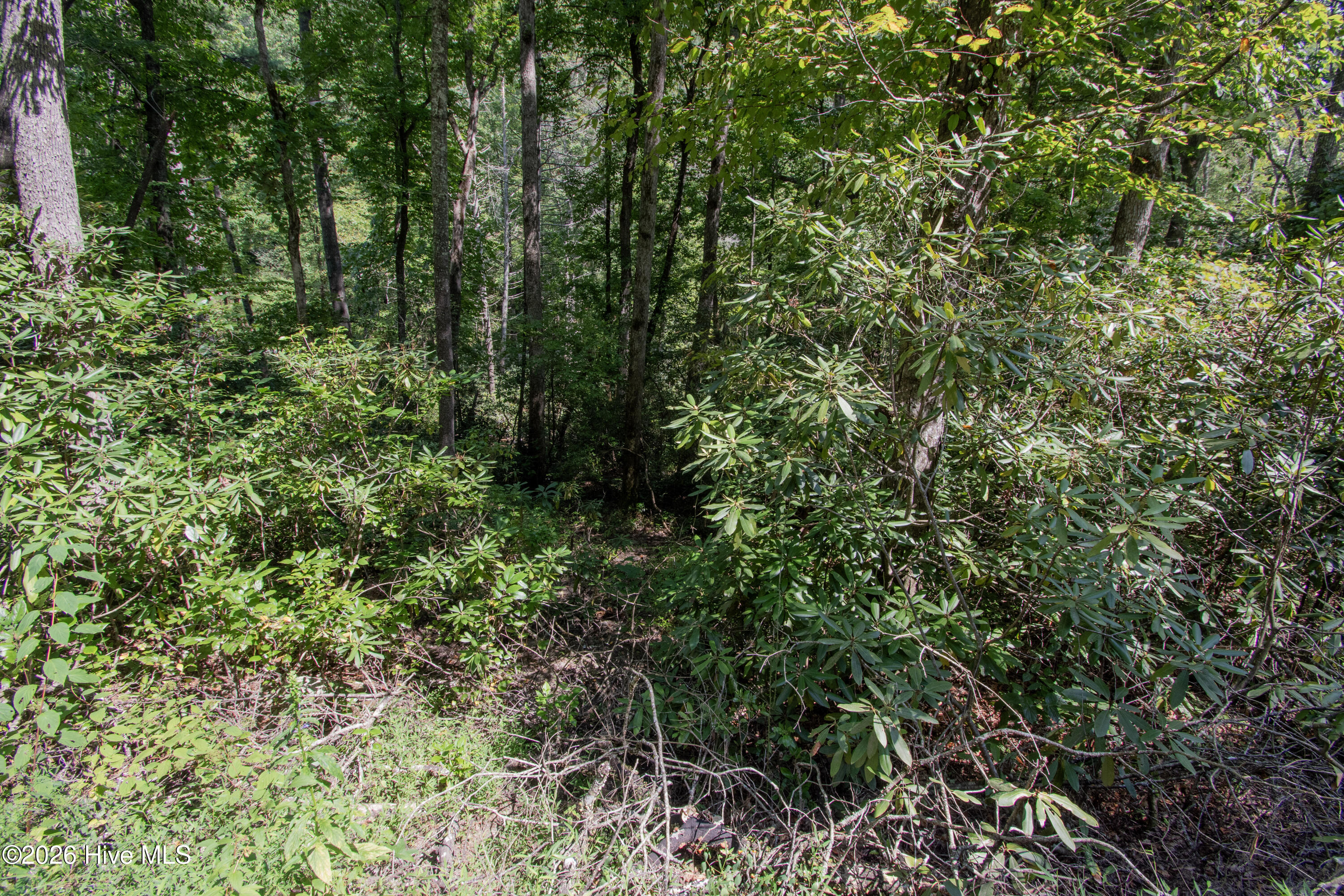 Lt 8 8 Snowbird Woods Road Property Photo 2
