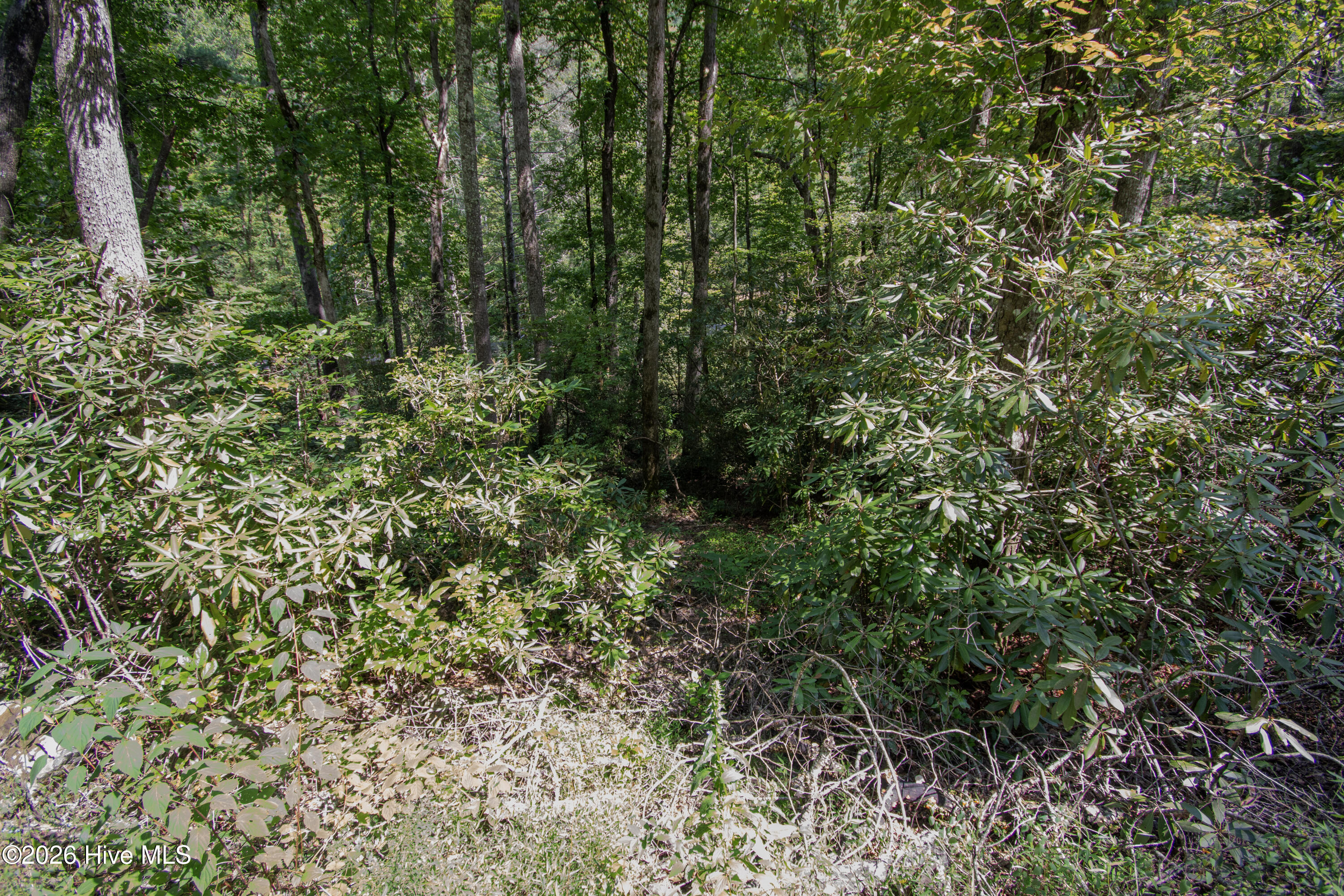 Lt 8 8 Snowbird Woods Road Property Photo 3