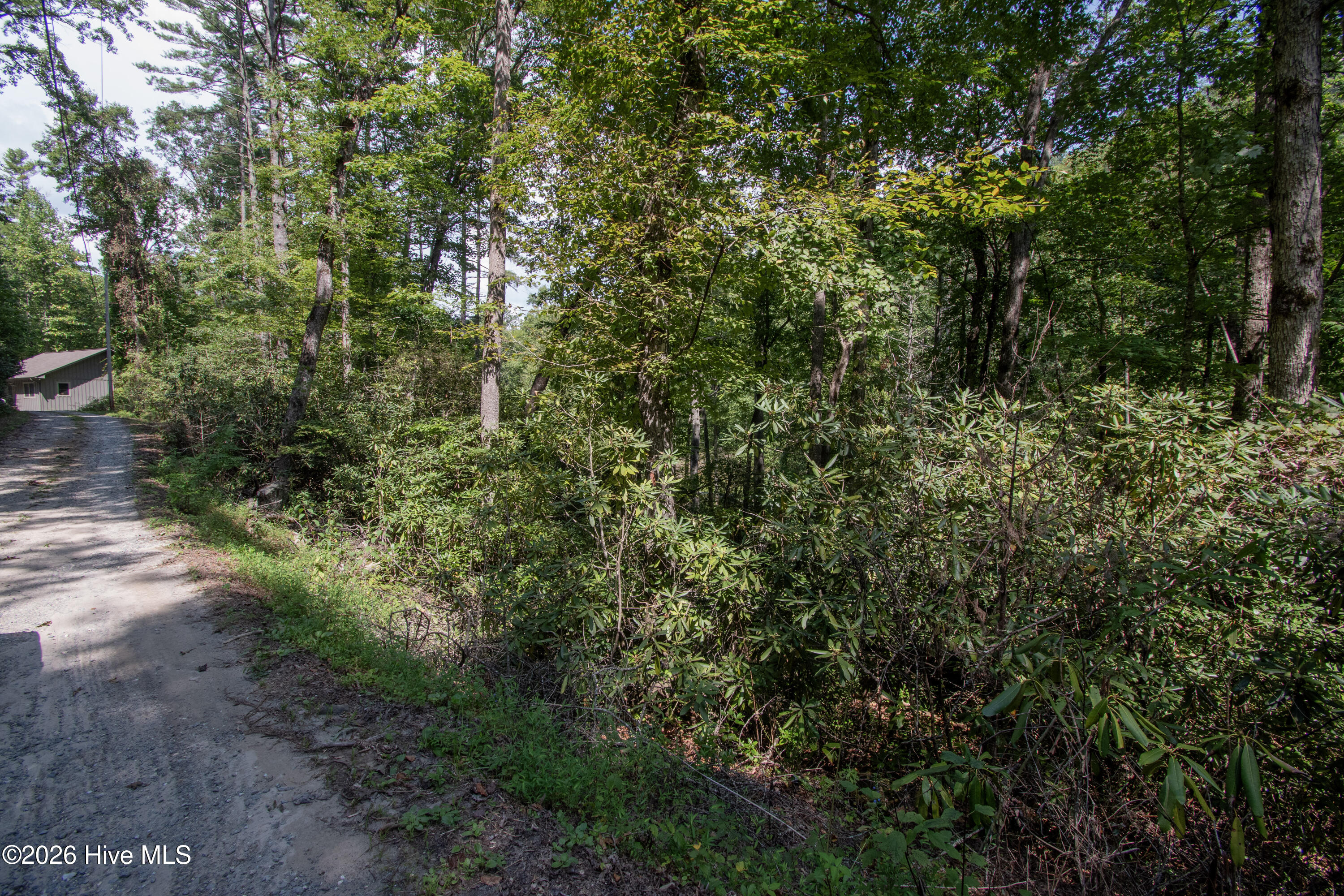 Lt 8 8 Snowbird Woods Road Property Photo 4