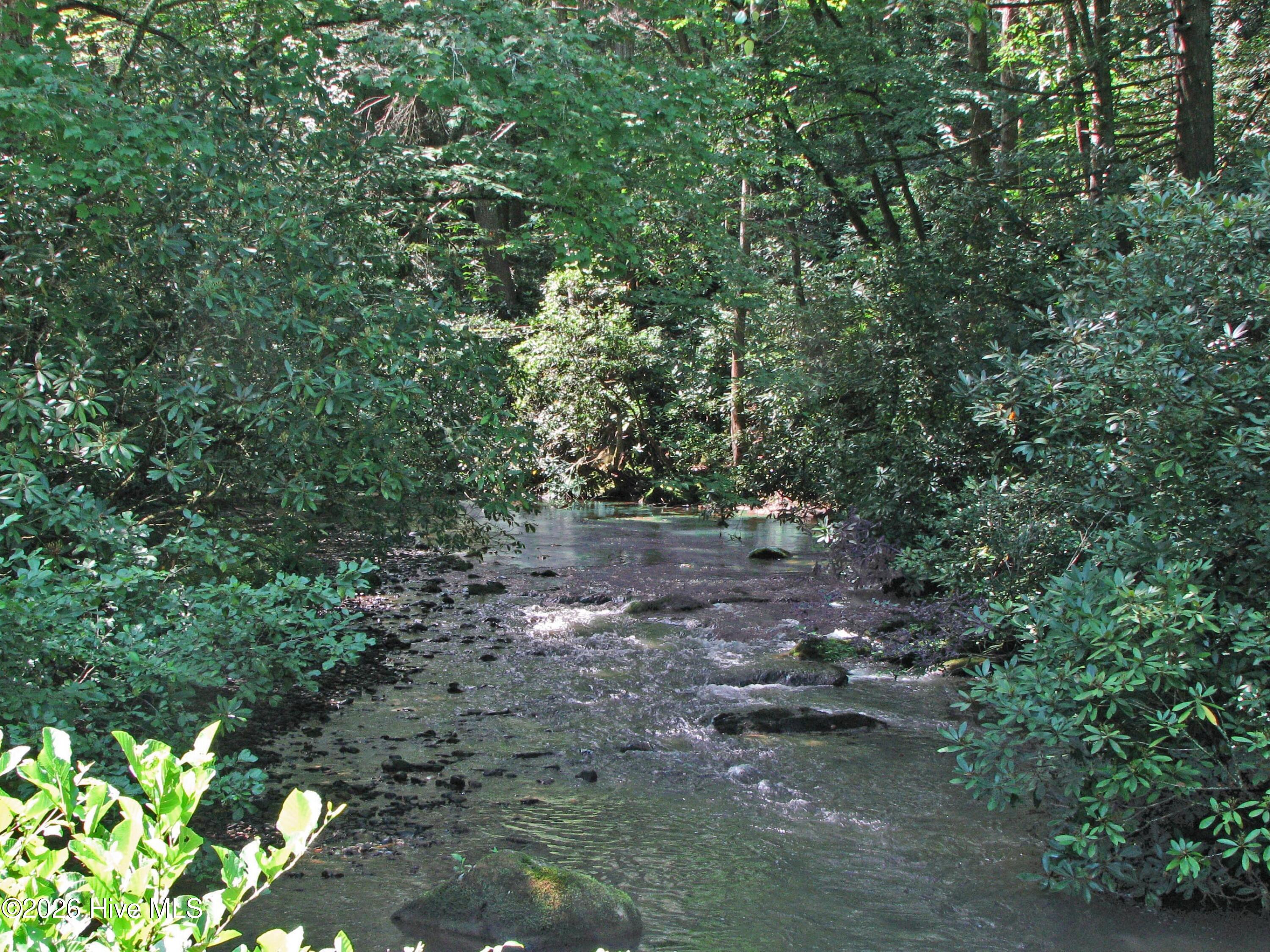 Lt 8 8 Snowbird Woods Road Property Photo 5