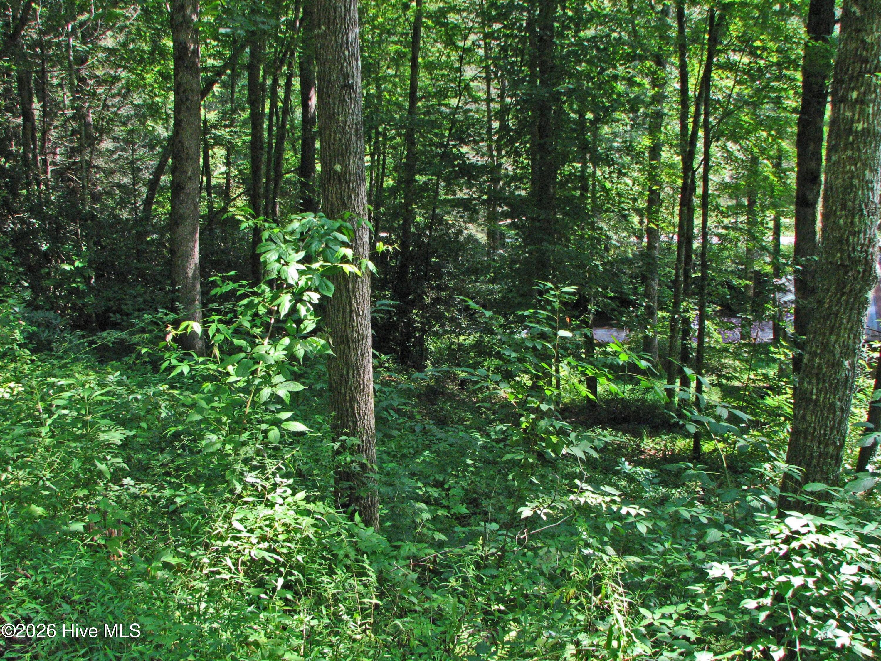 Lt 8 8 Snowbird Woods Road Property Photo 6