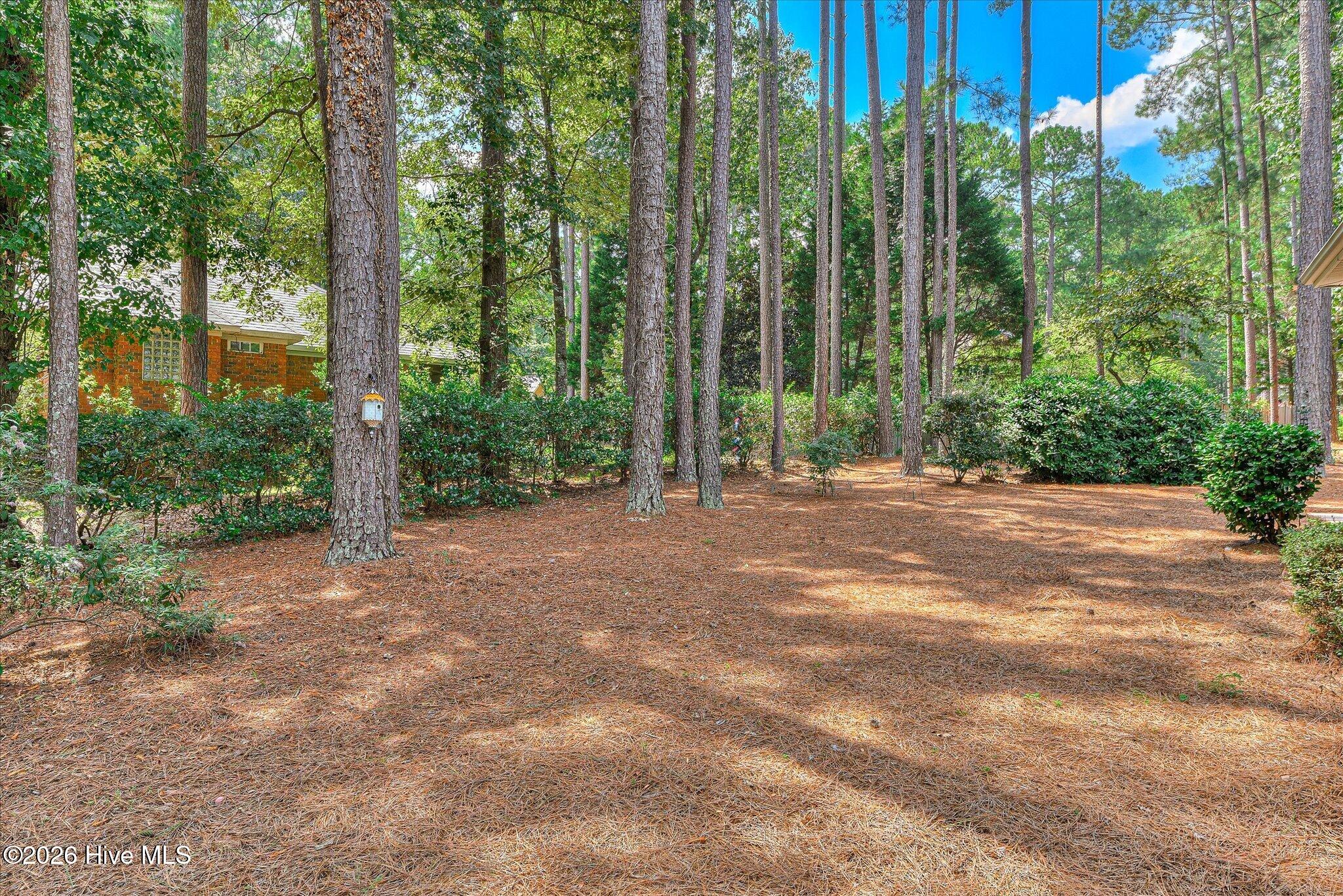 195 Long Shadow Drive Property Photo 11