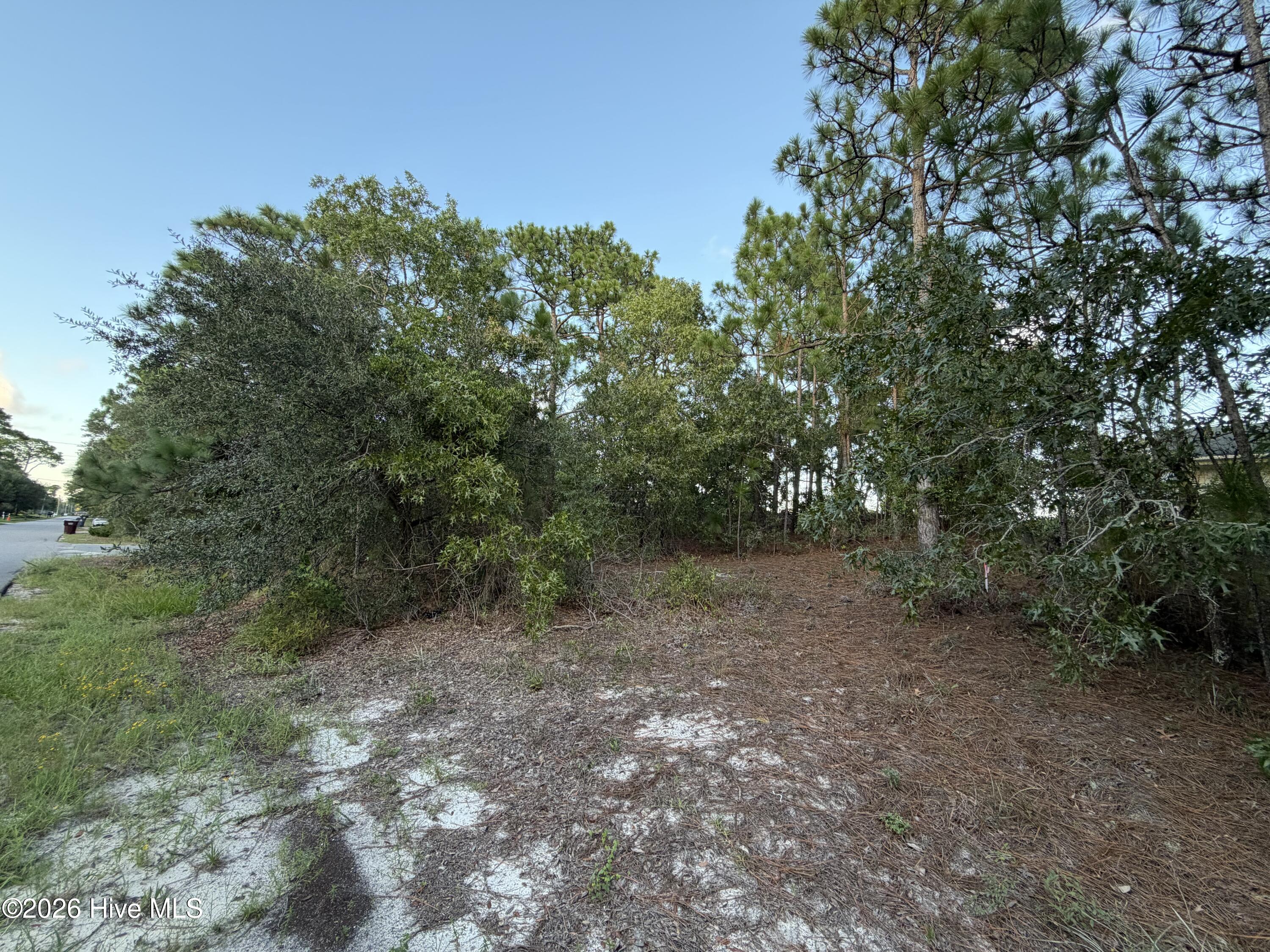 6061 Shiloh Drive Property Photo 2