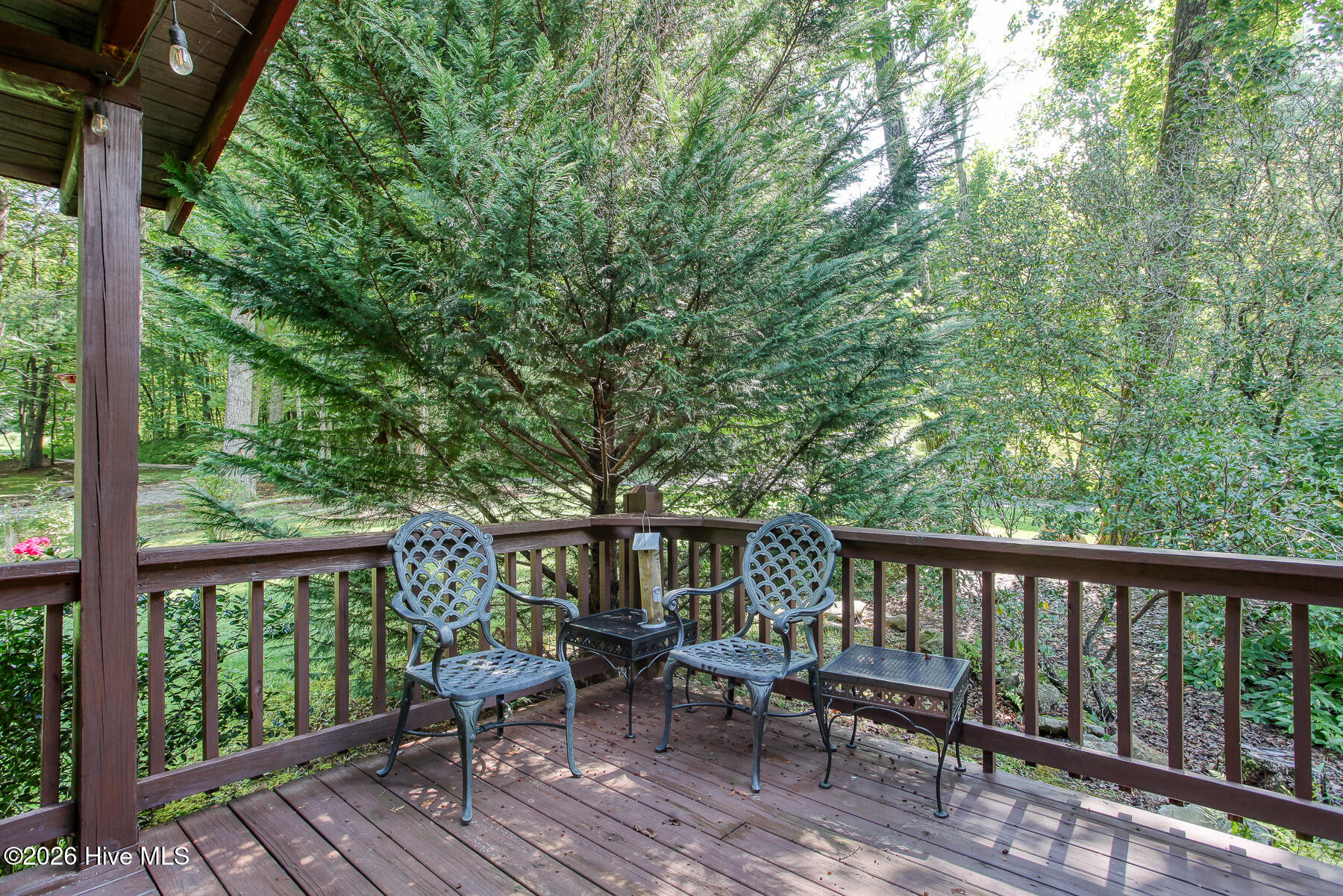 49 Dusty Hollow Property Photo 62