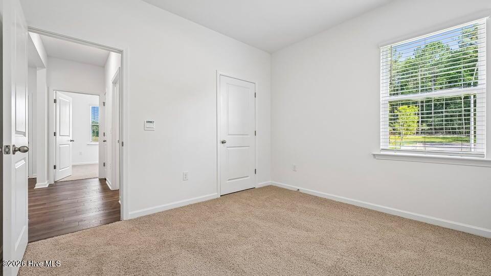 428 Conifer Street Property Photo 20
