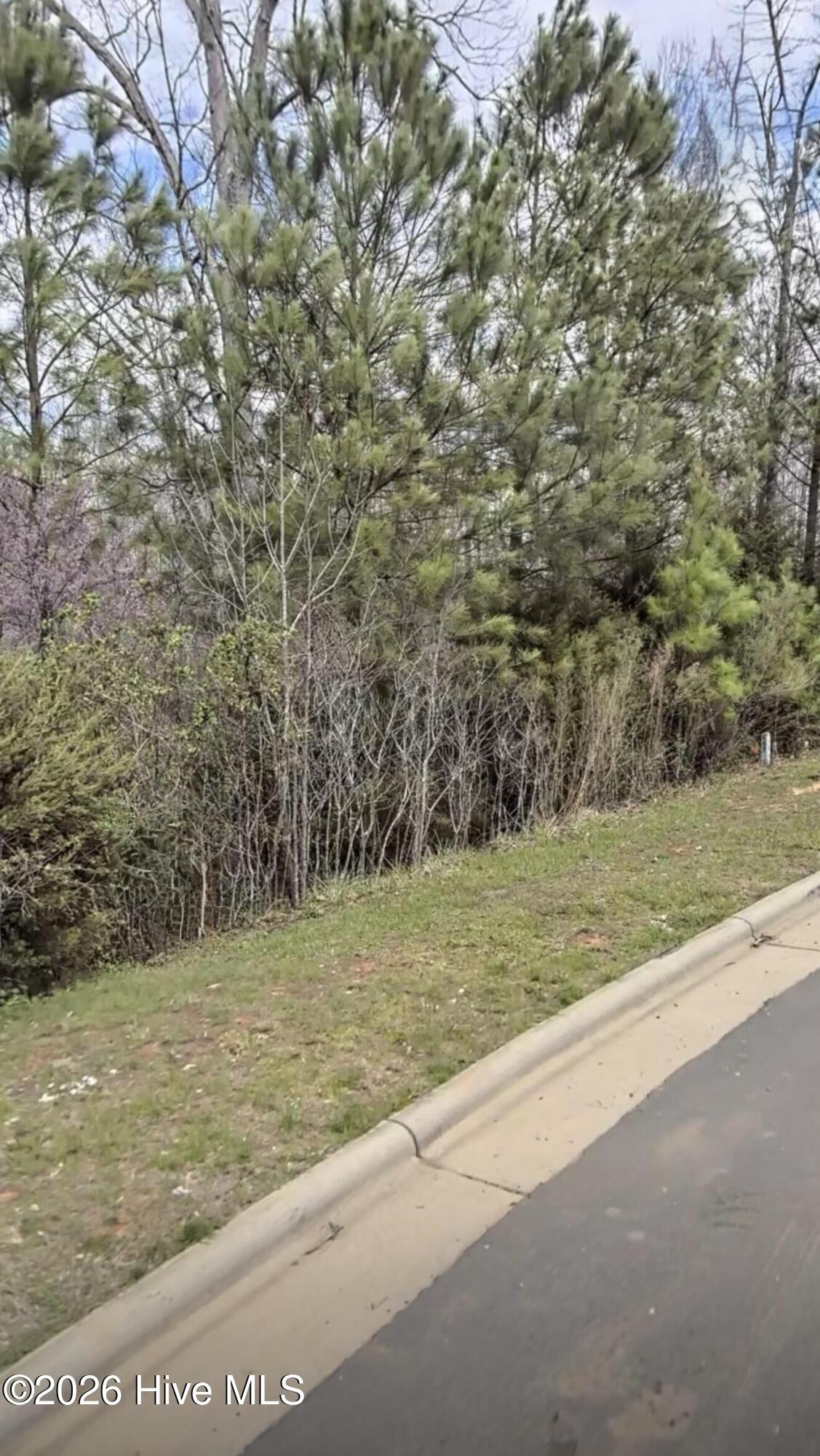 67 Lookout Ridge Property Photo 2