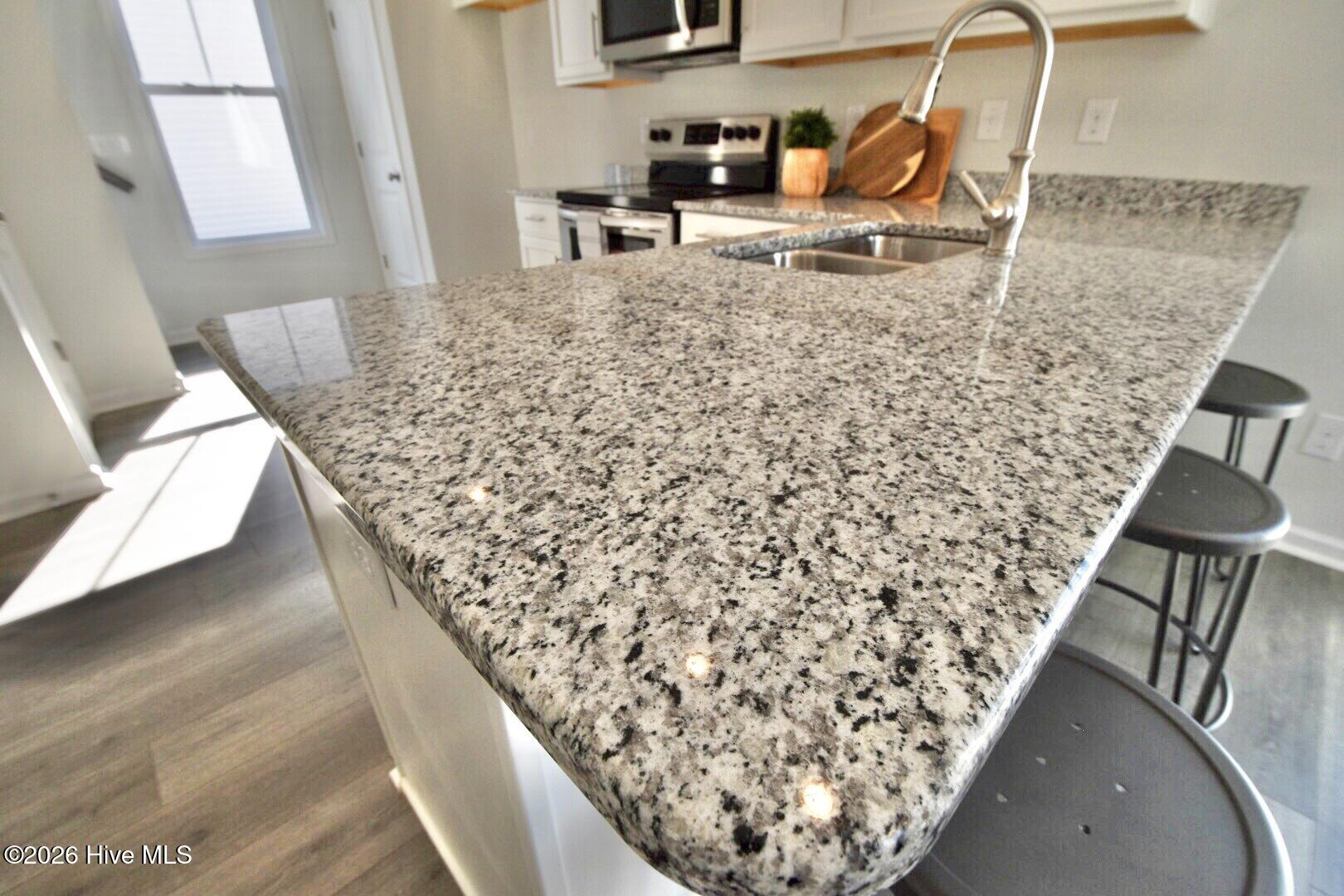 109 Bristol Bay Drive Property Photo 8