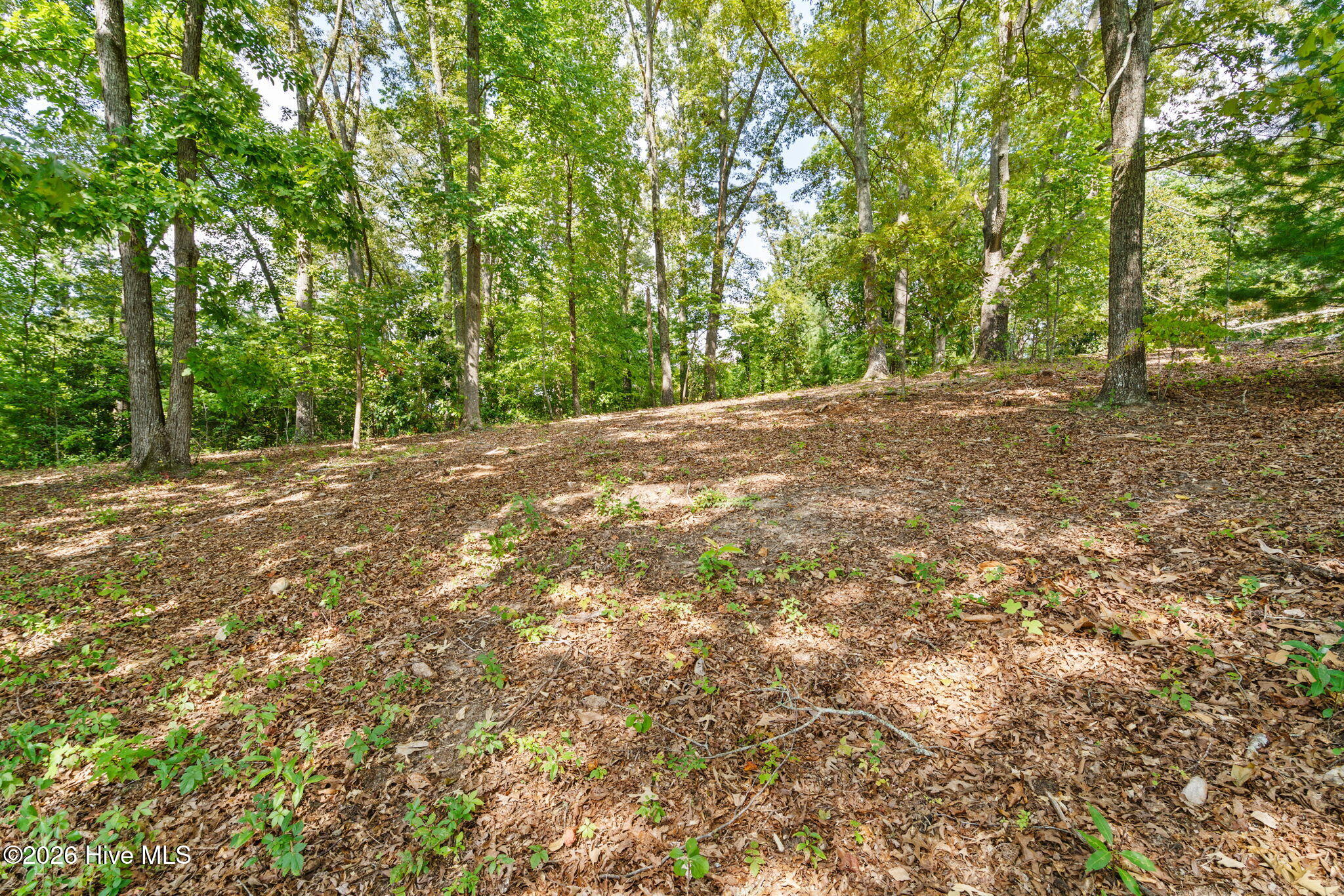 314 Lakeside Drive Property Photo 36