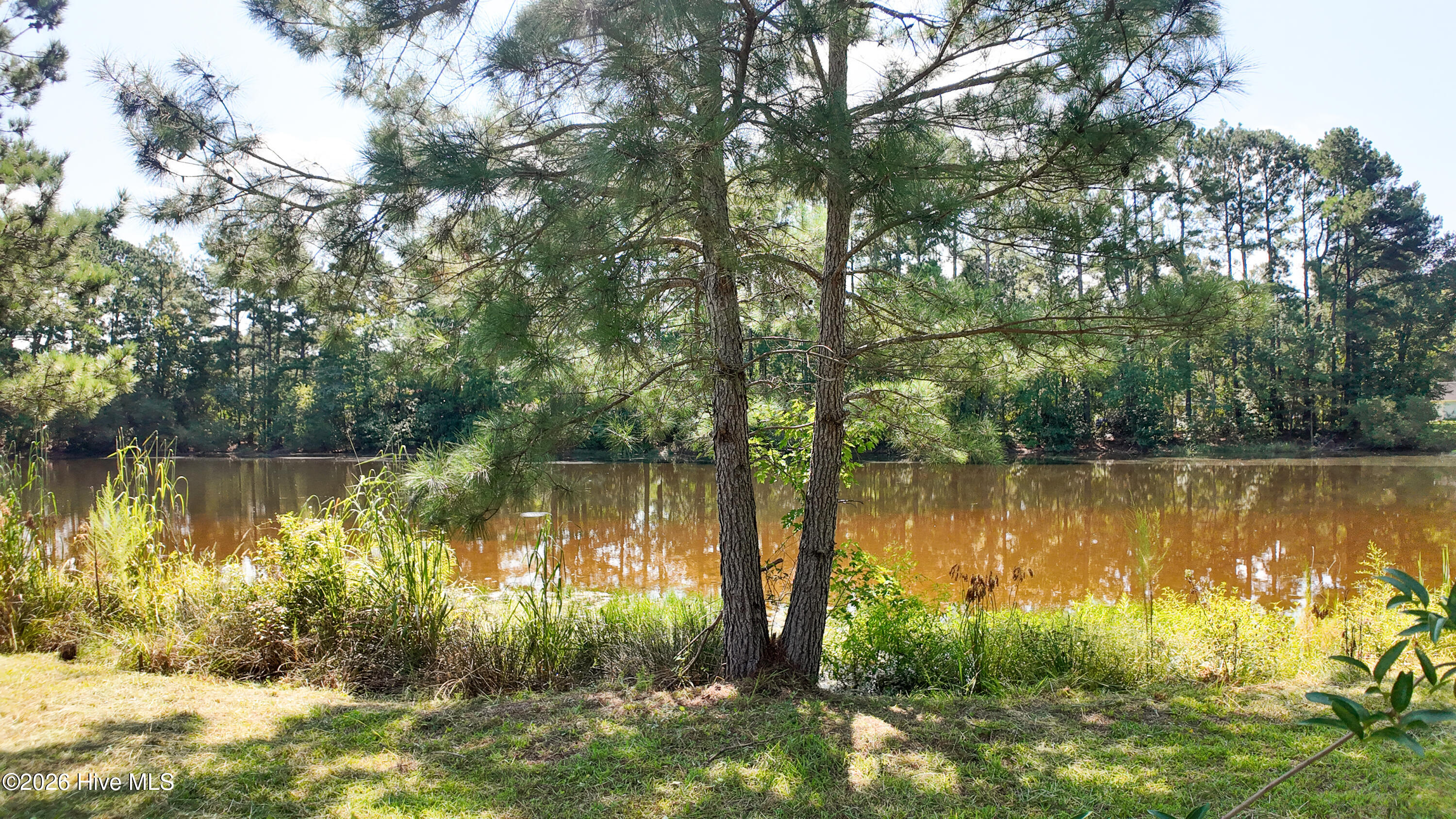 750 Myrtle Road Property Photo 27
