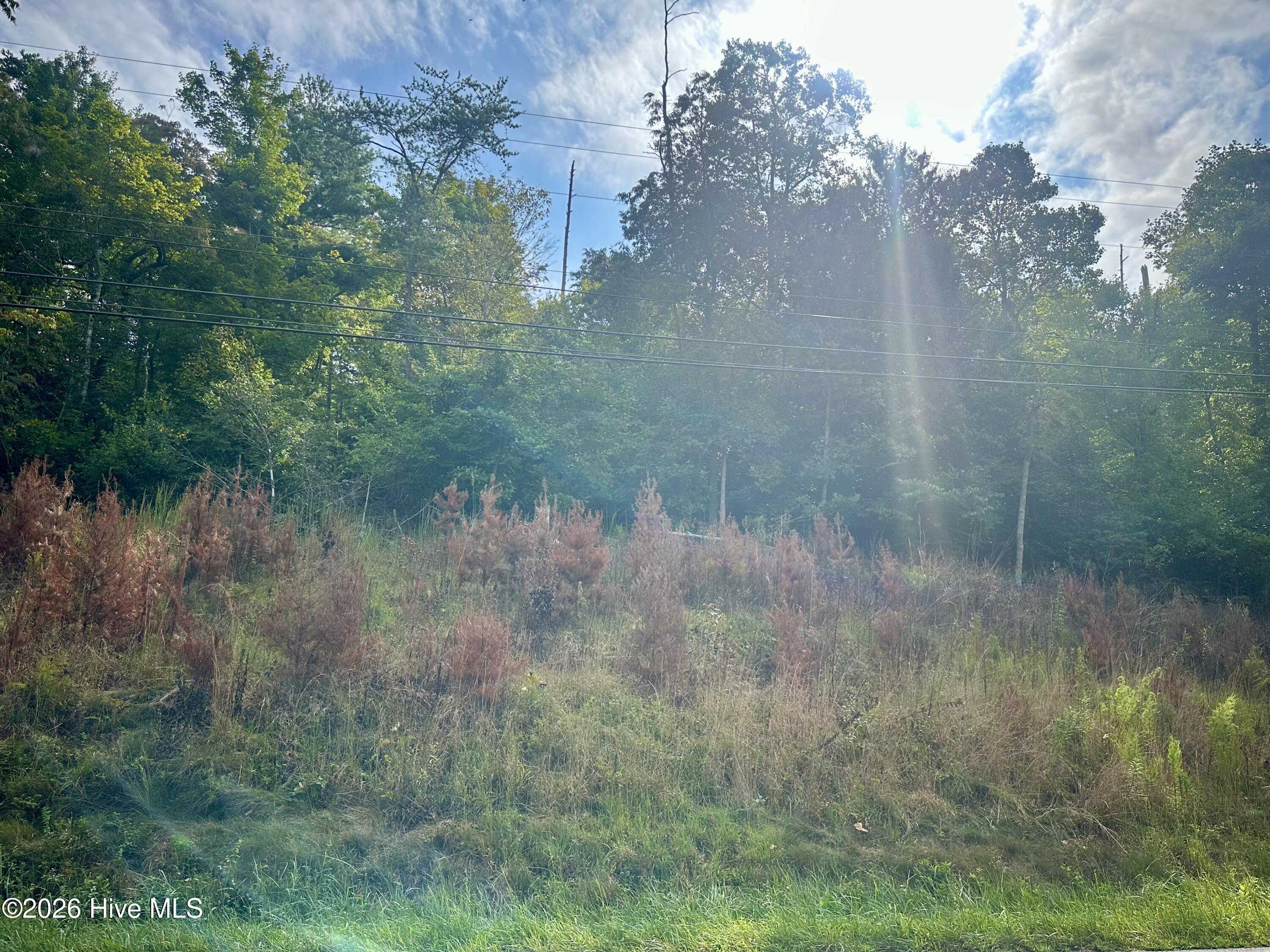 Lot 3 3 Old Highway 64 W Property Photo 5