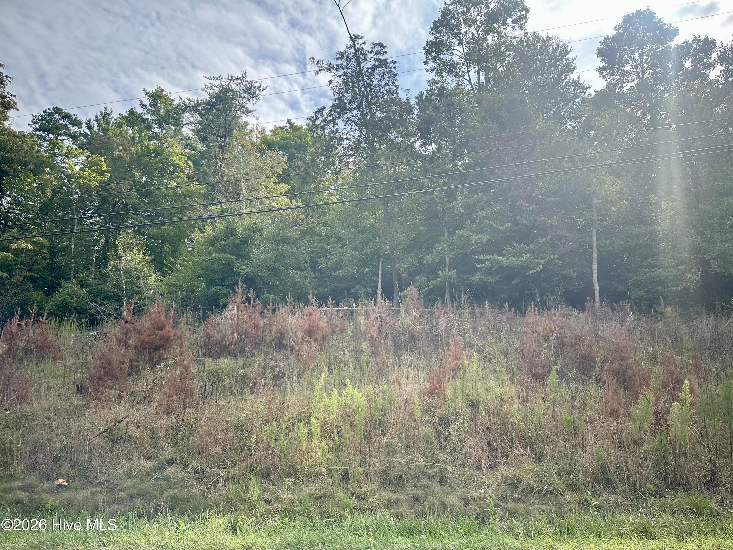 Lot 3 3 Old Highway 64 W Property Photo 6