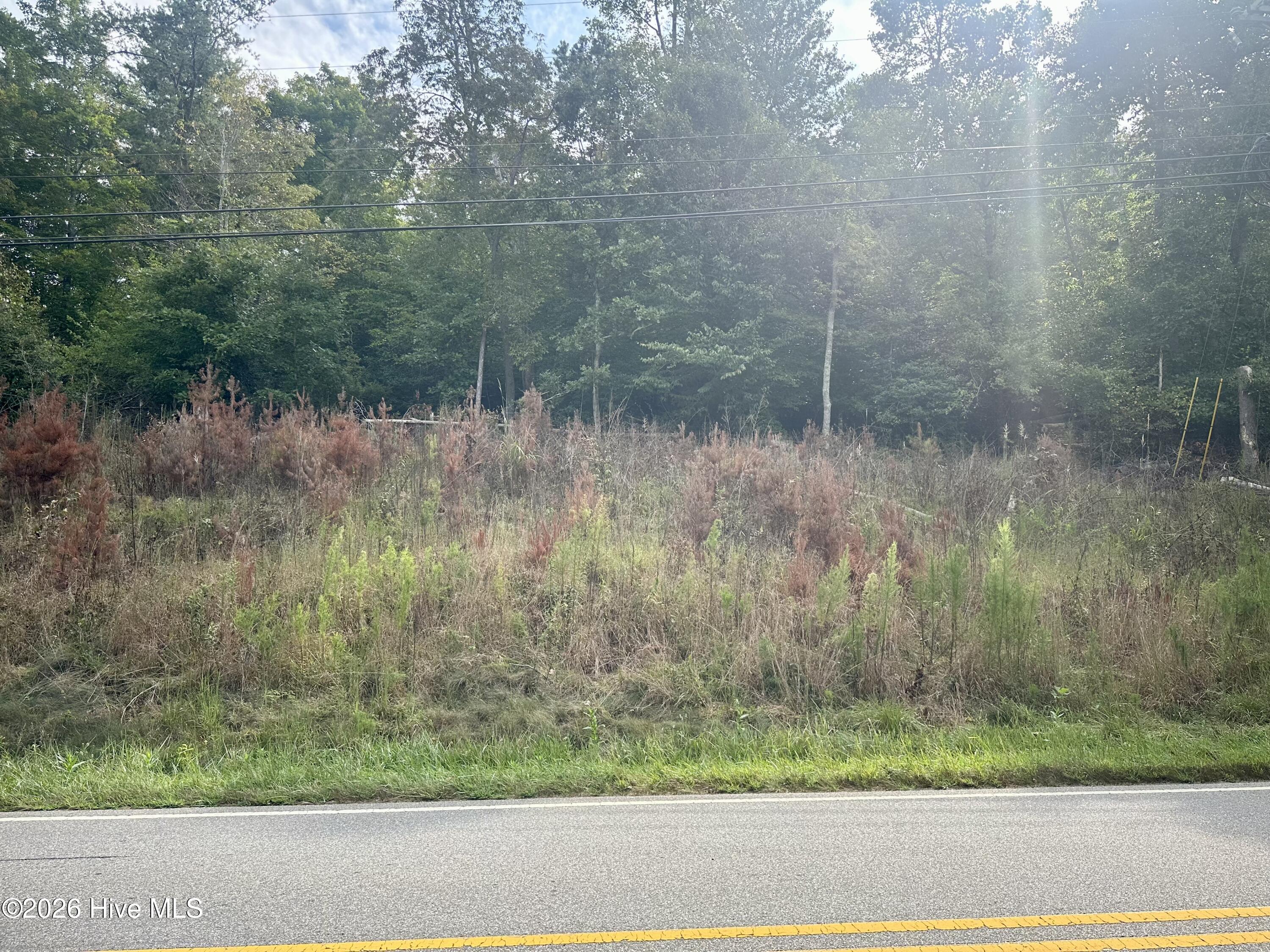 Lot 3 3 Old Highway 64 W Property Photo 7
