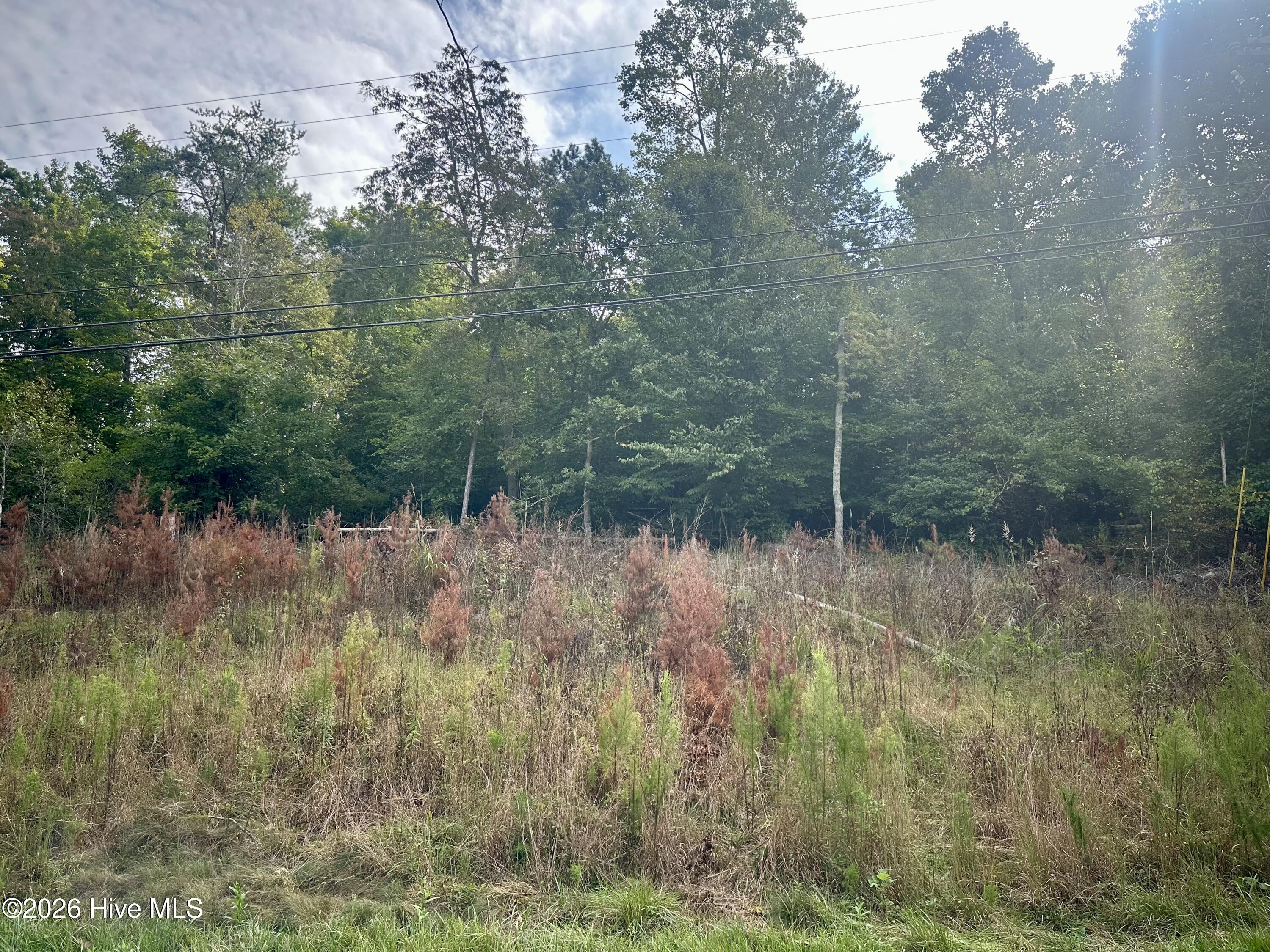 Lot 3 3 Old Highway 64 W Property Photo 8