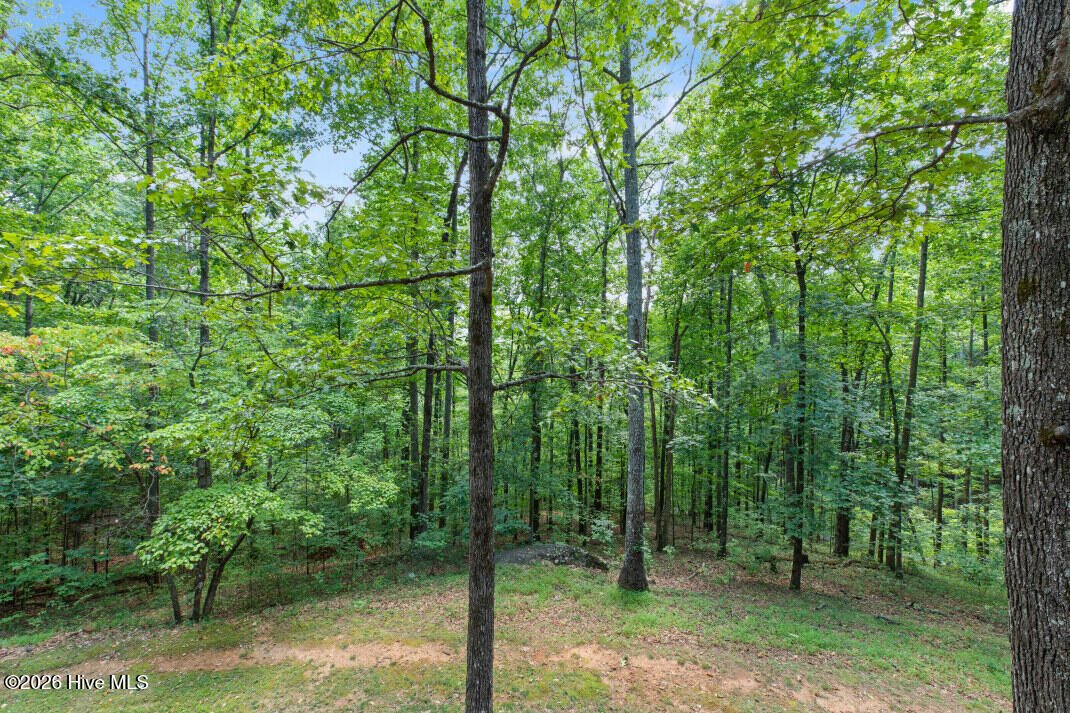 2930 Upper Bell Cr Road Property Photo 9