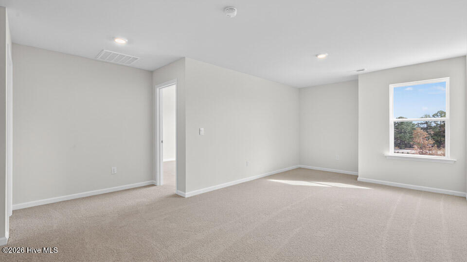 49 Calebs Corner Place Property Photo 17