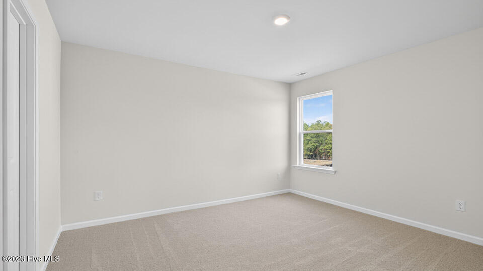 49 Calebs Corner Place Property Photo 26