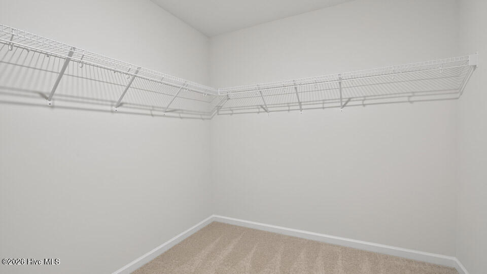 49 Calebs Corner Place Property Photo 30