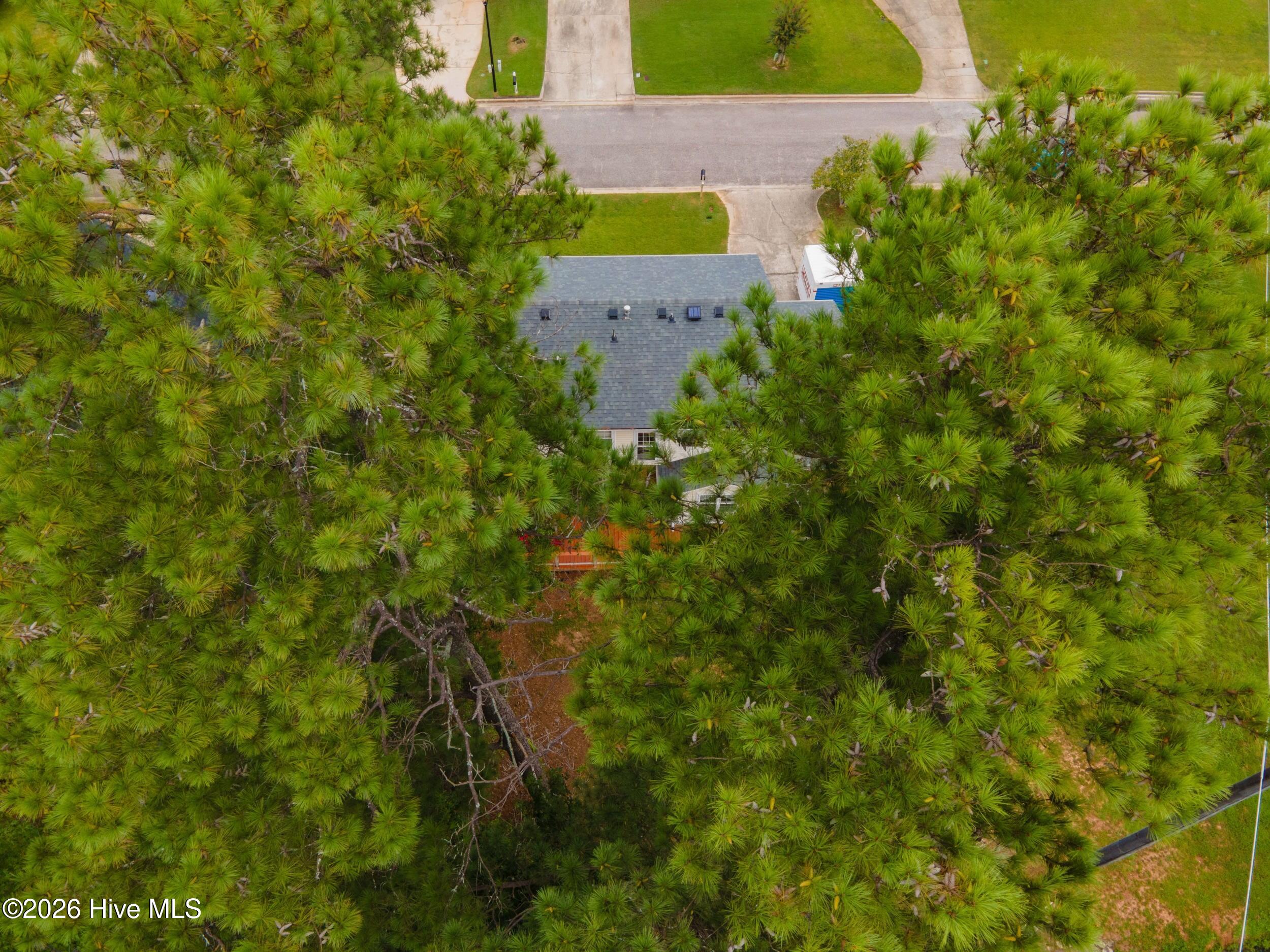 151 Moss Creek Drive Property Photo 13