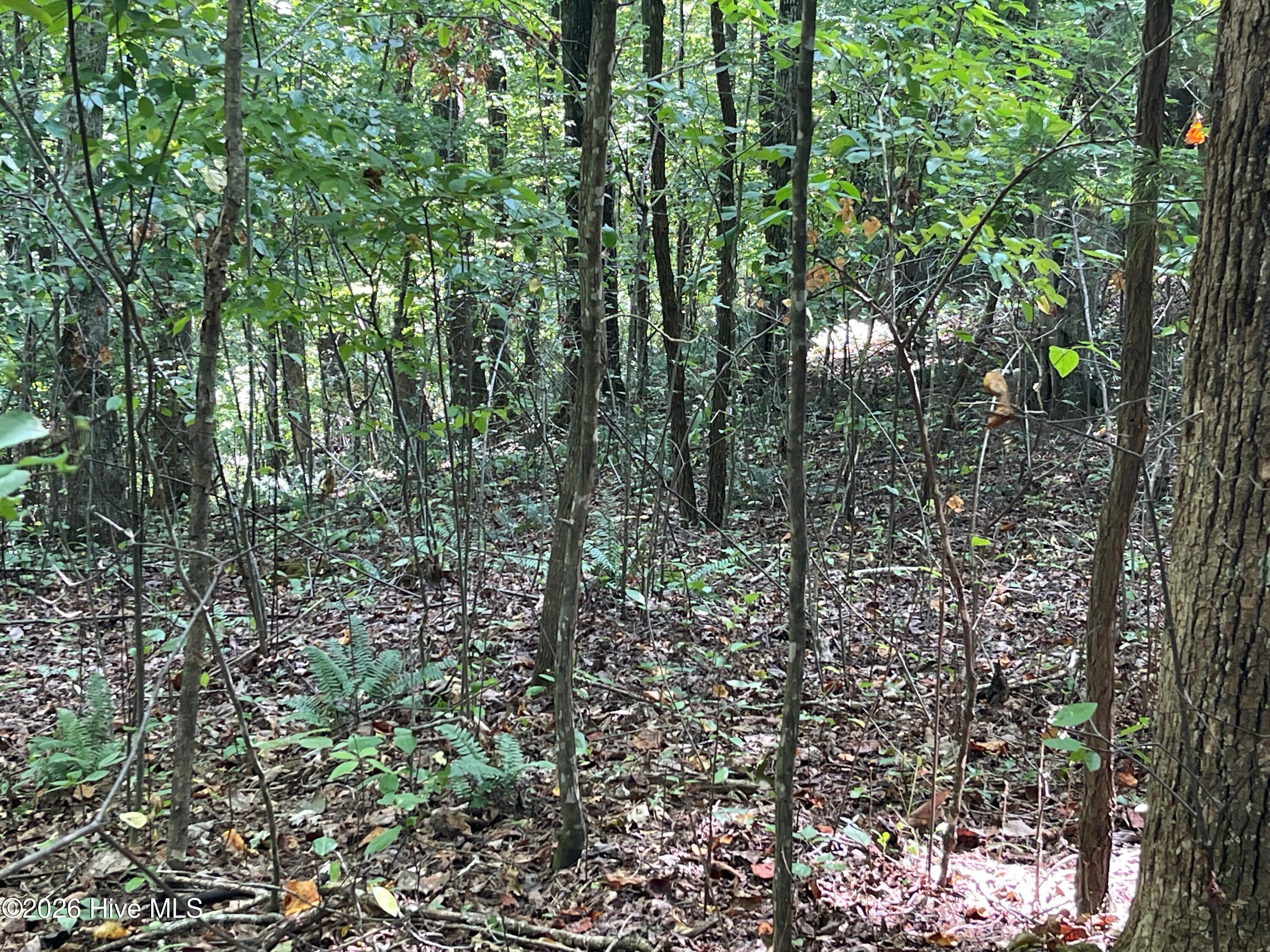 81a-82a 81a-82a Licklog Road Property Photo 1
