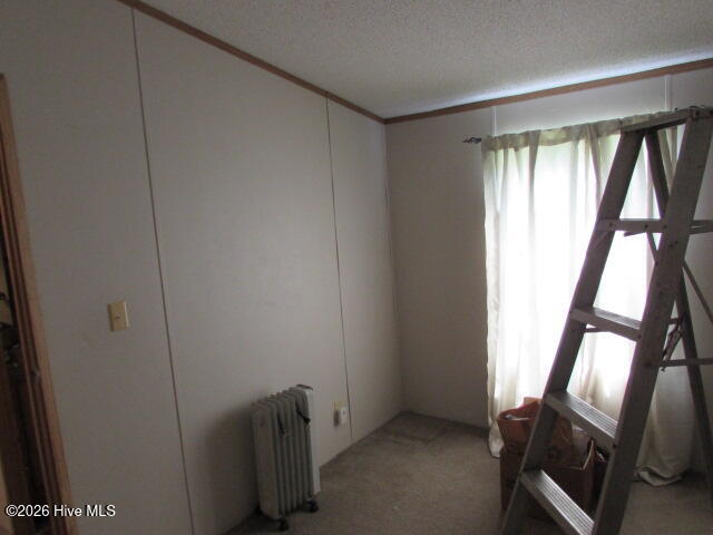 77 Louise Street Property Photo 22