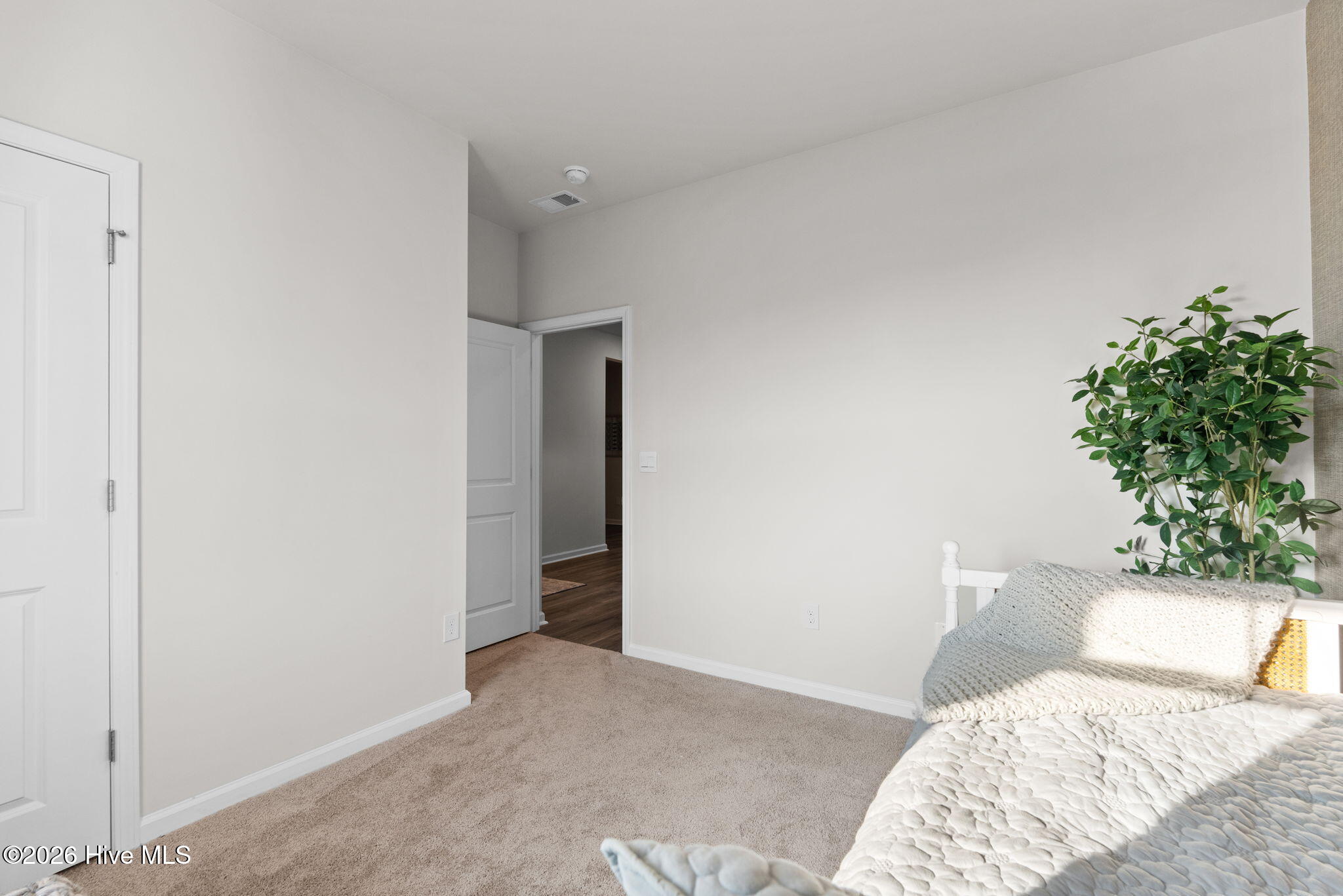 214 Ridley Street Property Photo 16