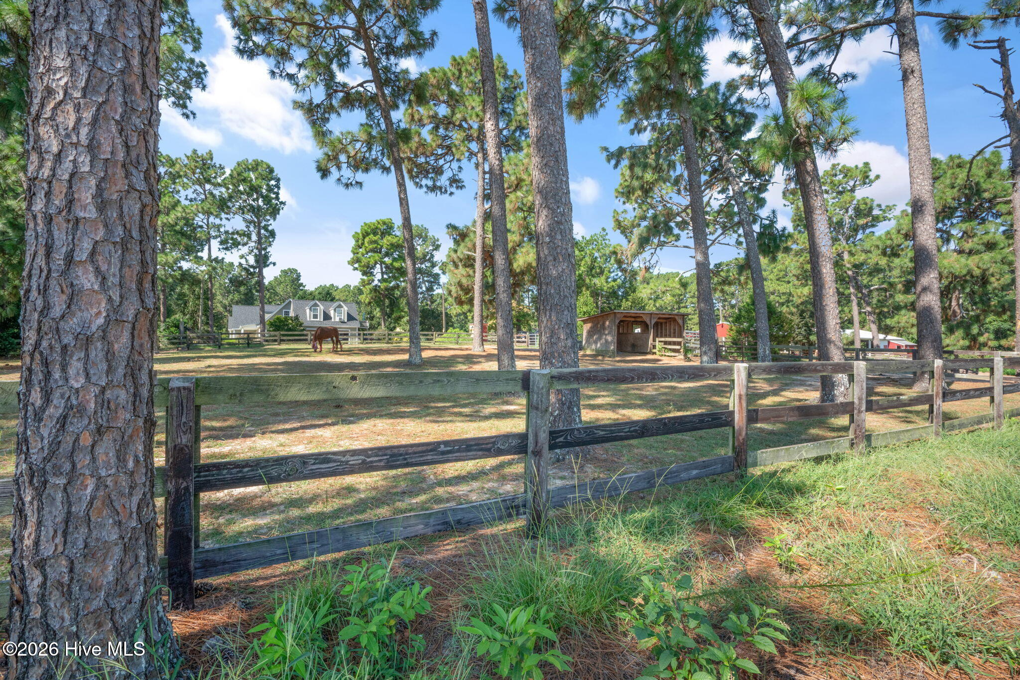 339 Braden Road Property Photo 36
