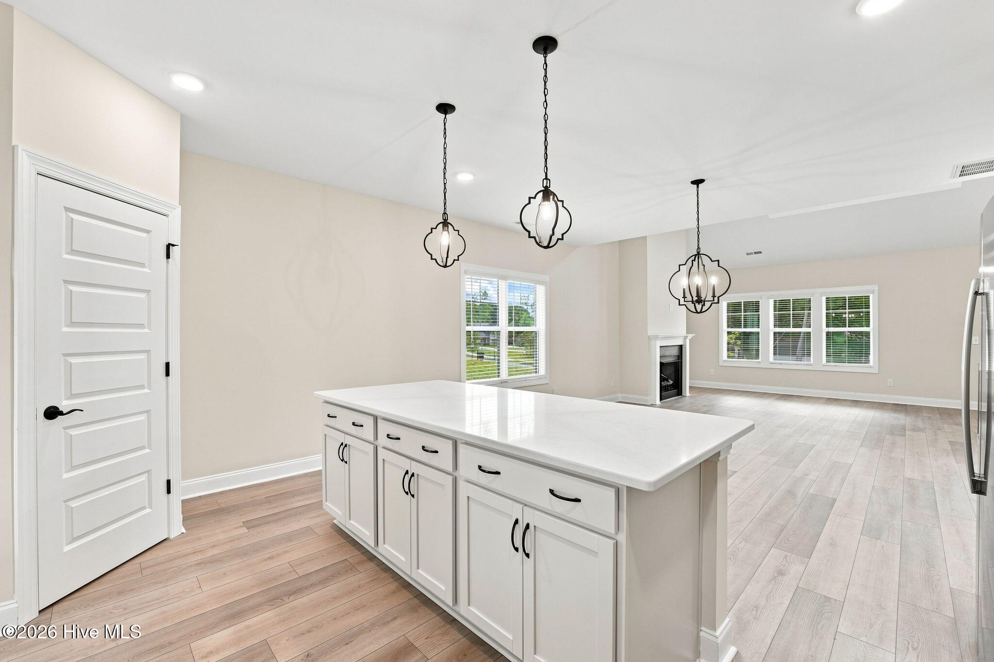 205 Telluride Court Property Photo 17