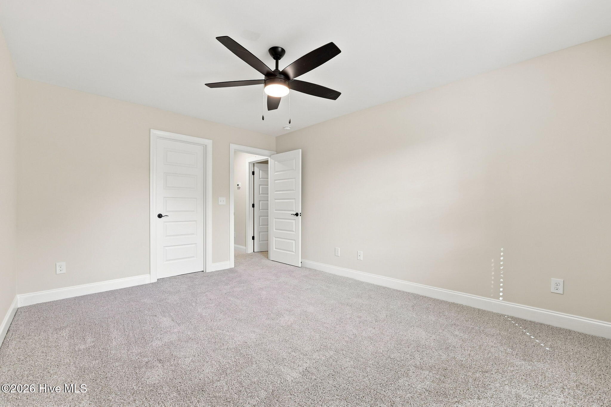 205 Telluride Court Property Photo 33