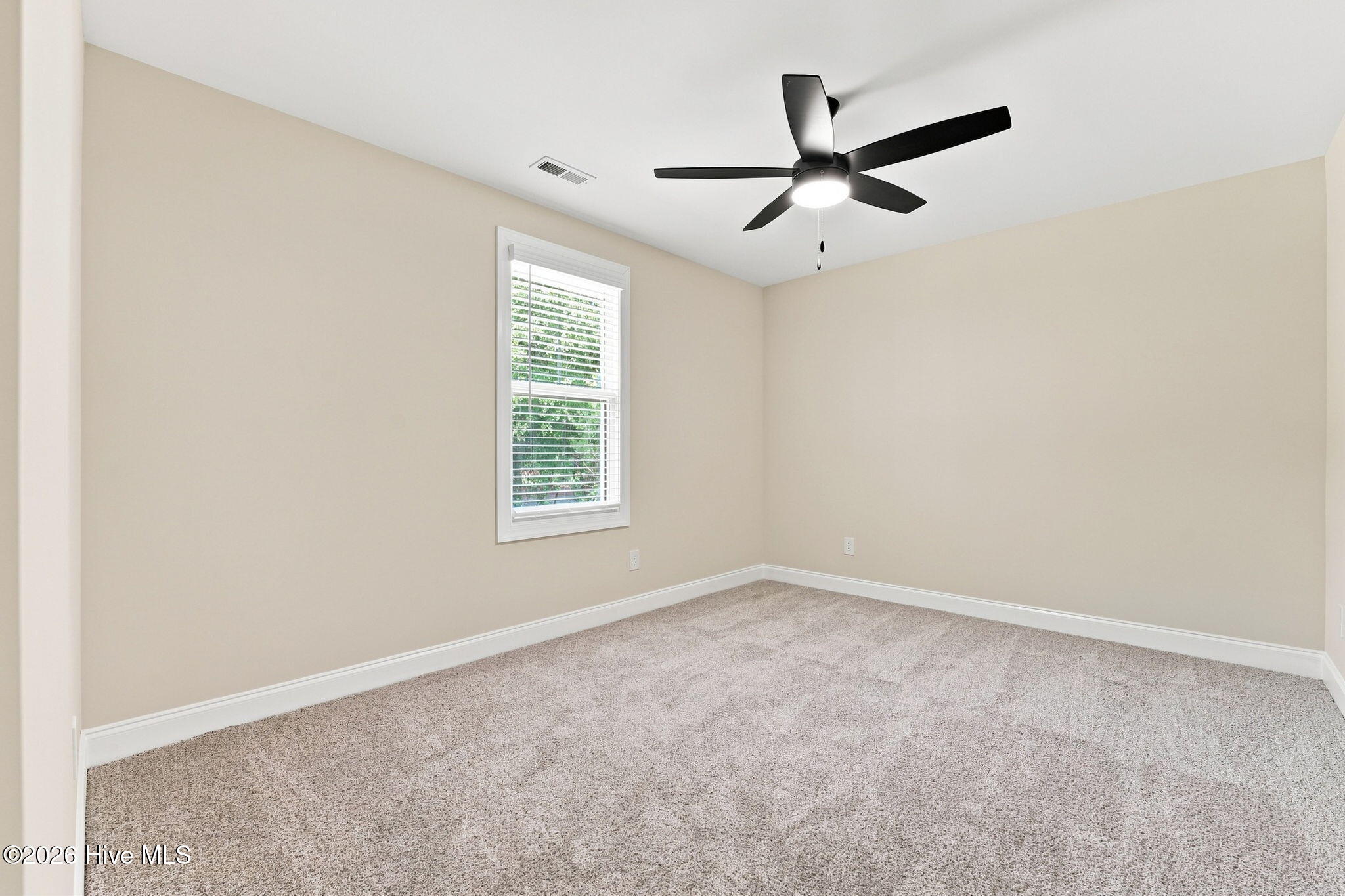 205 Telluride Court Property Photo 34