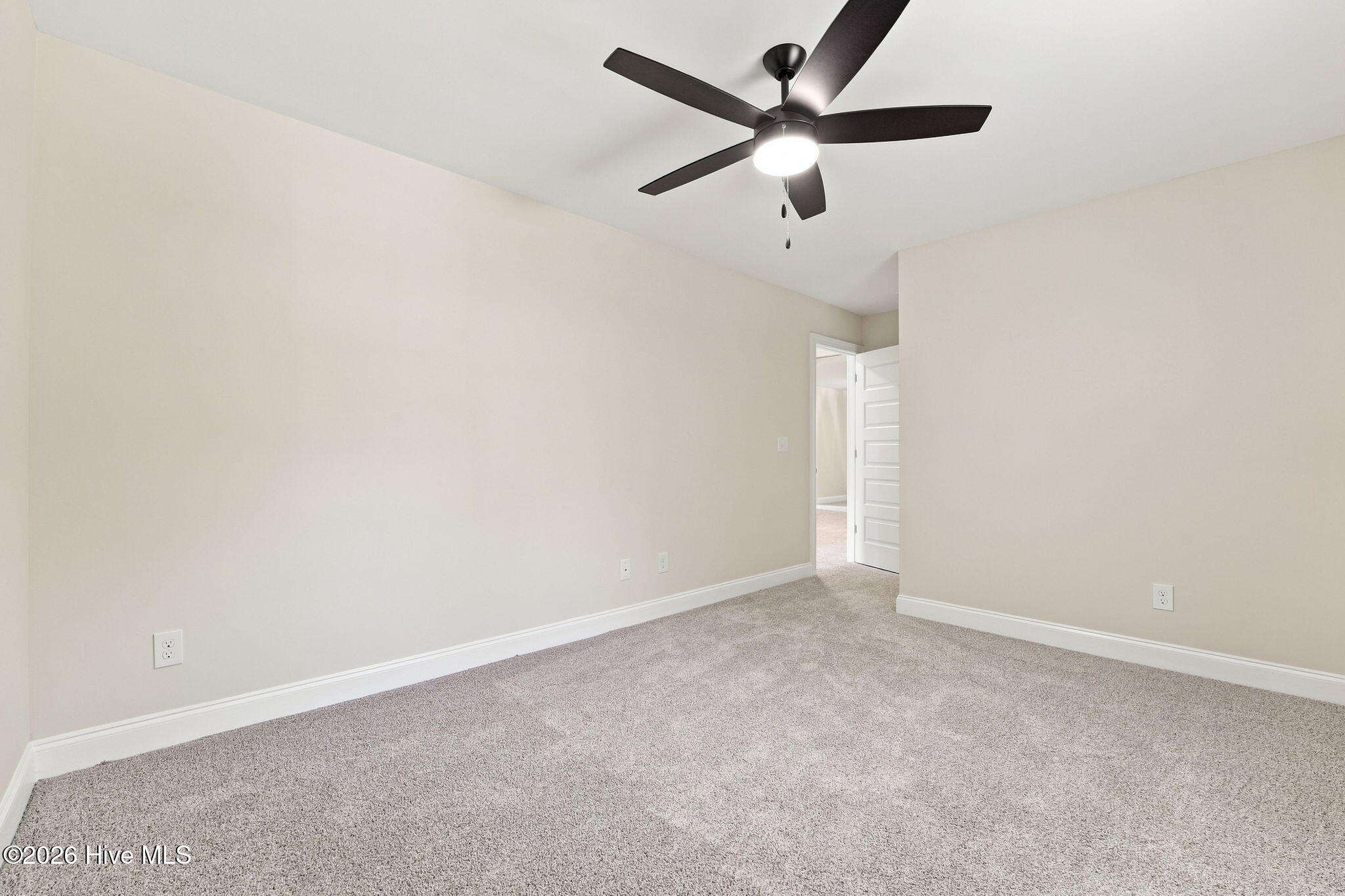 205 Telluride Court Property Photo 35