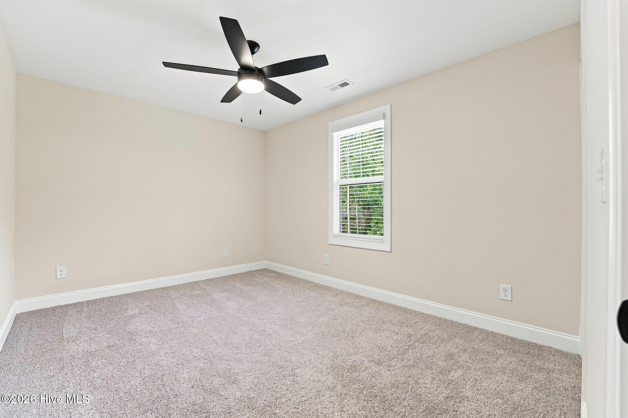 205 Telluride Court Property Photo 37
