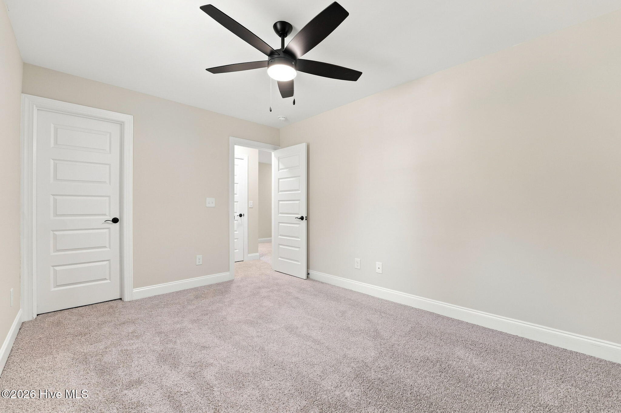 205 Telluride Court Property Photo 38