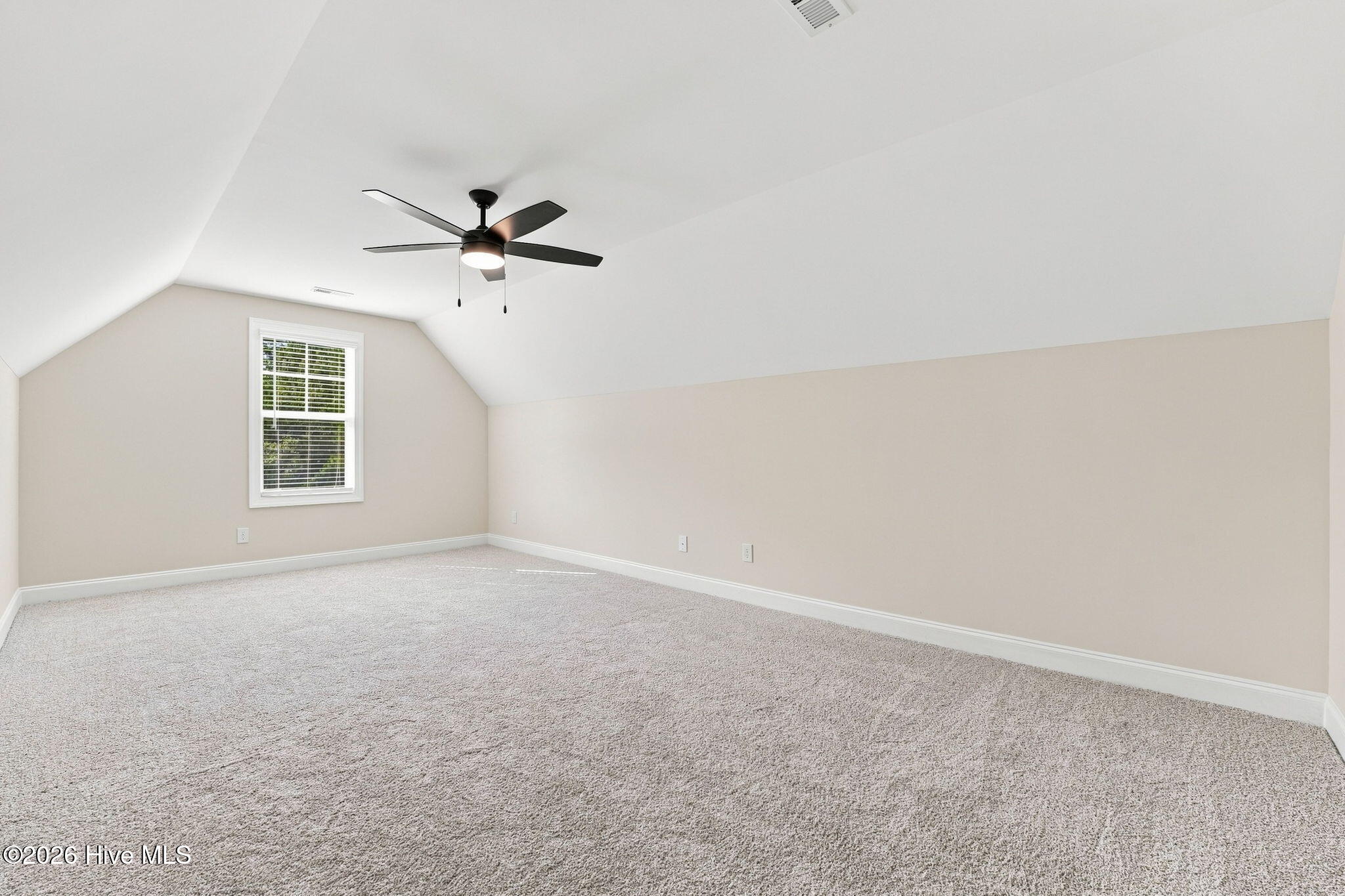 205 Telluride Court Property Photo 39