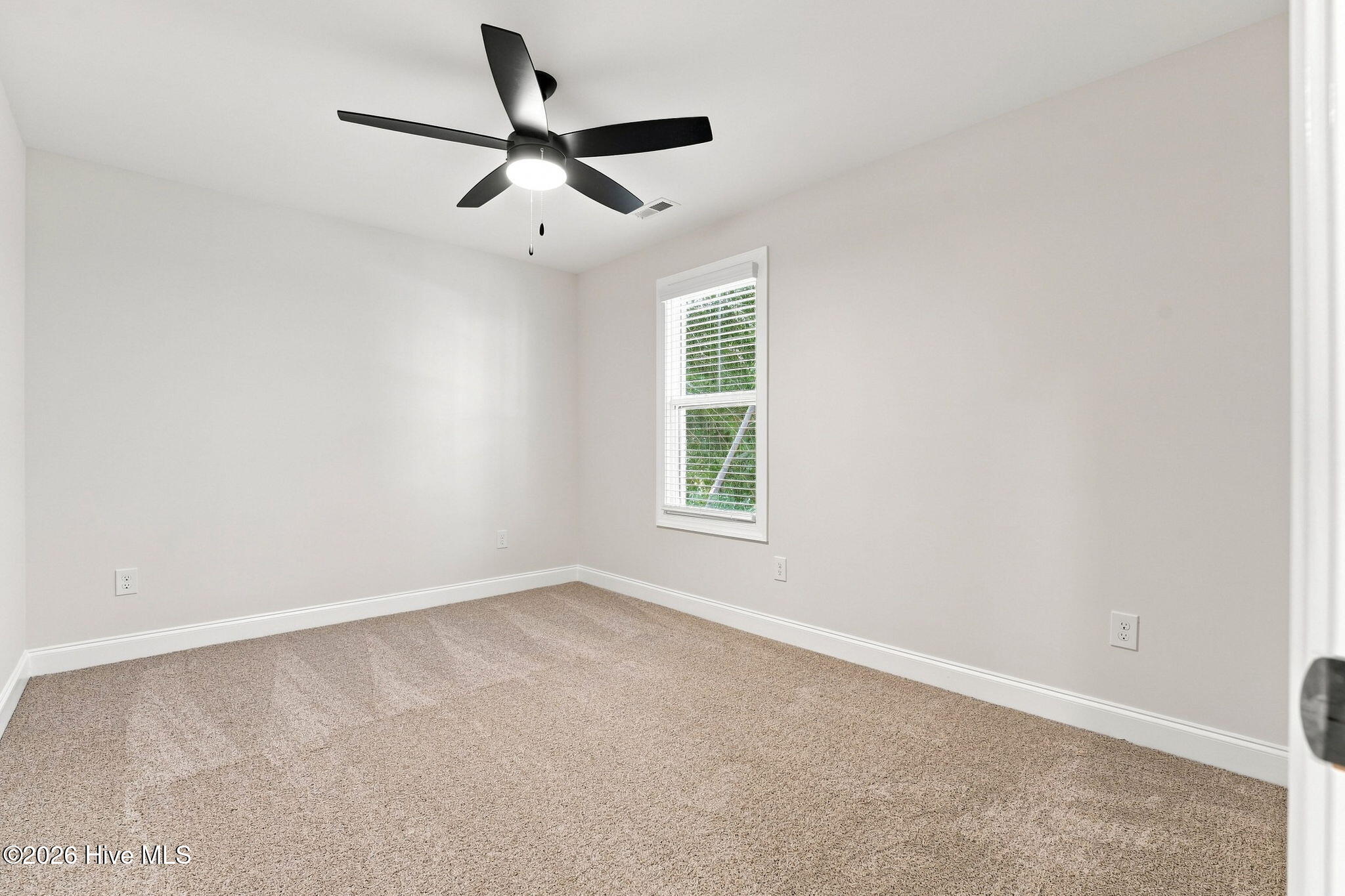 220 Telluride Court Property Photo 36