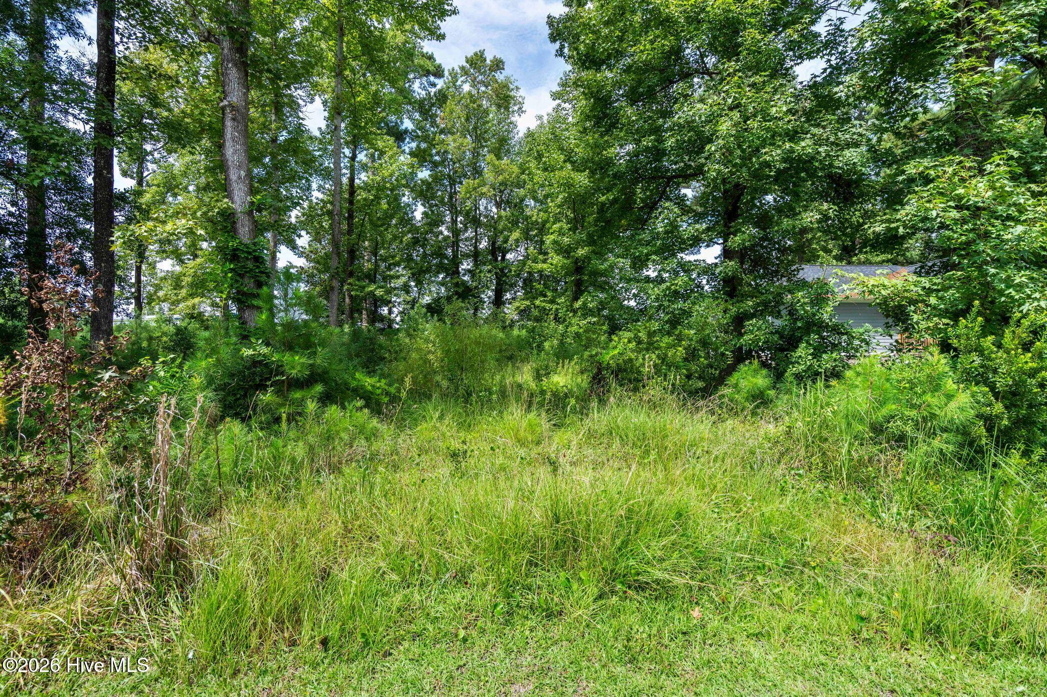 Tbd Sybil Street Property Photo 6