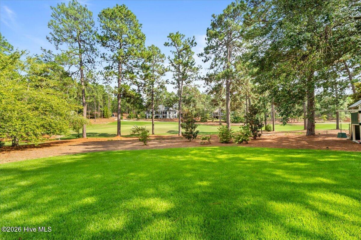 233 National Drive Property Photo 46