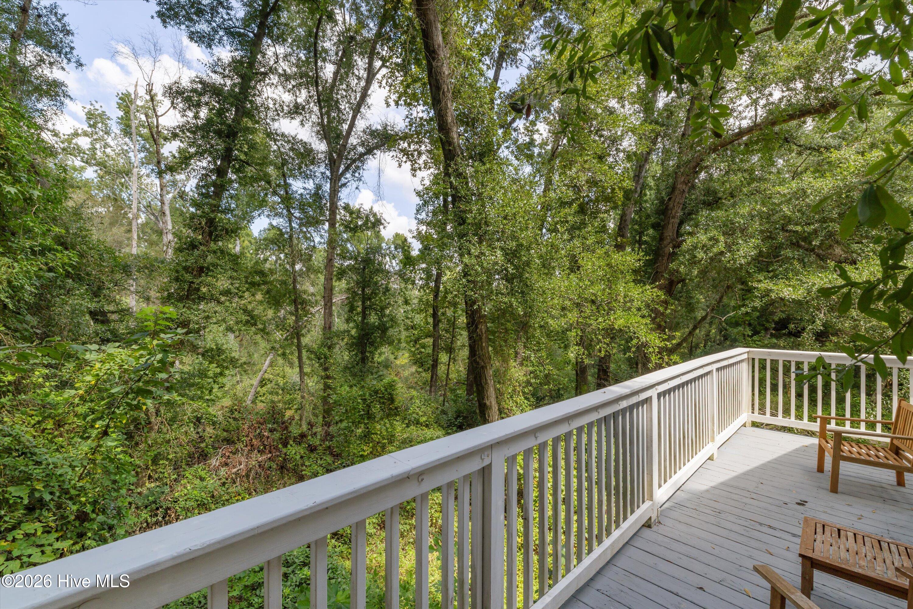 1326 Hephzibah Mcbean Road Property Photo 5